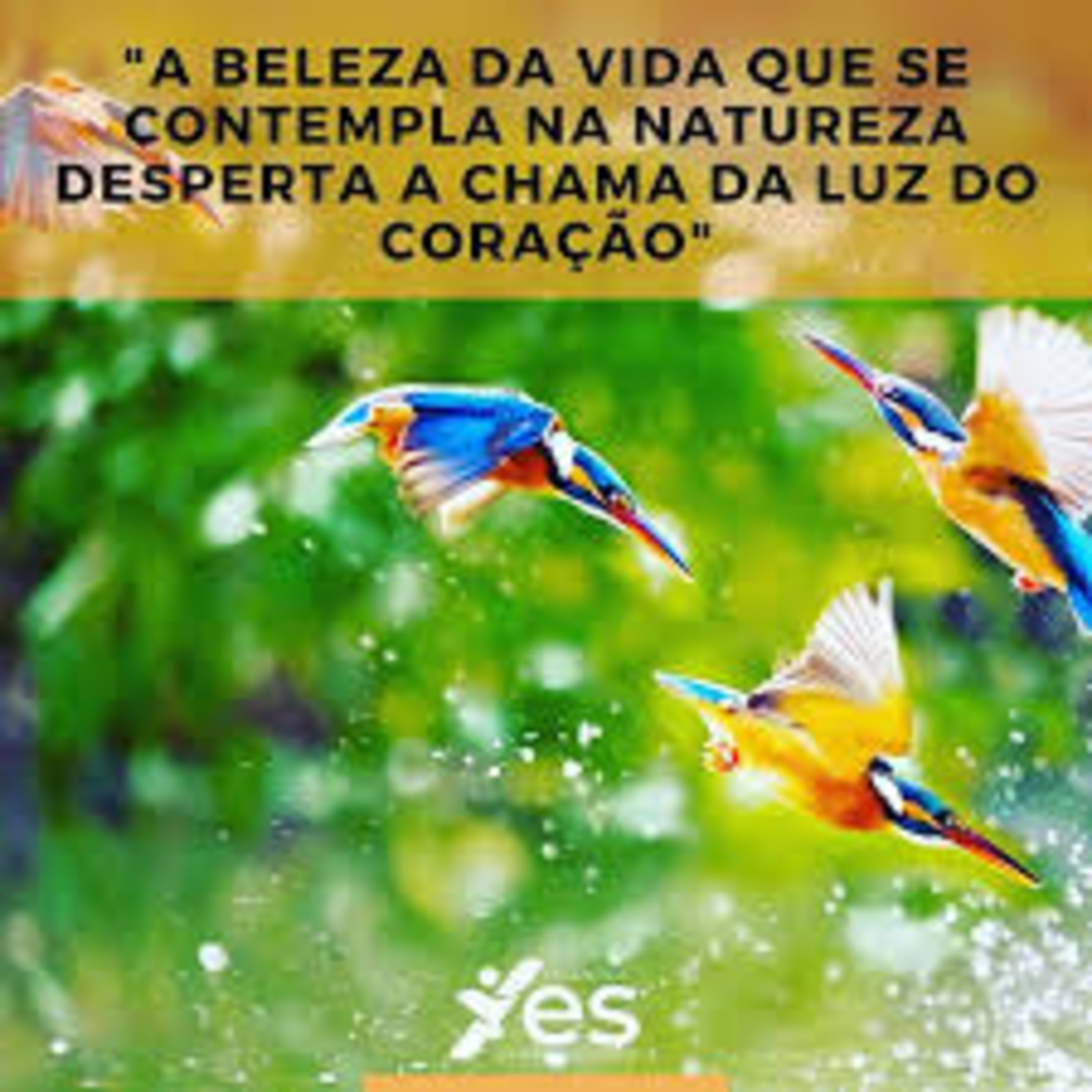 Yes Quântica Cast