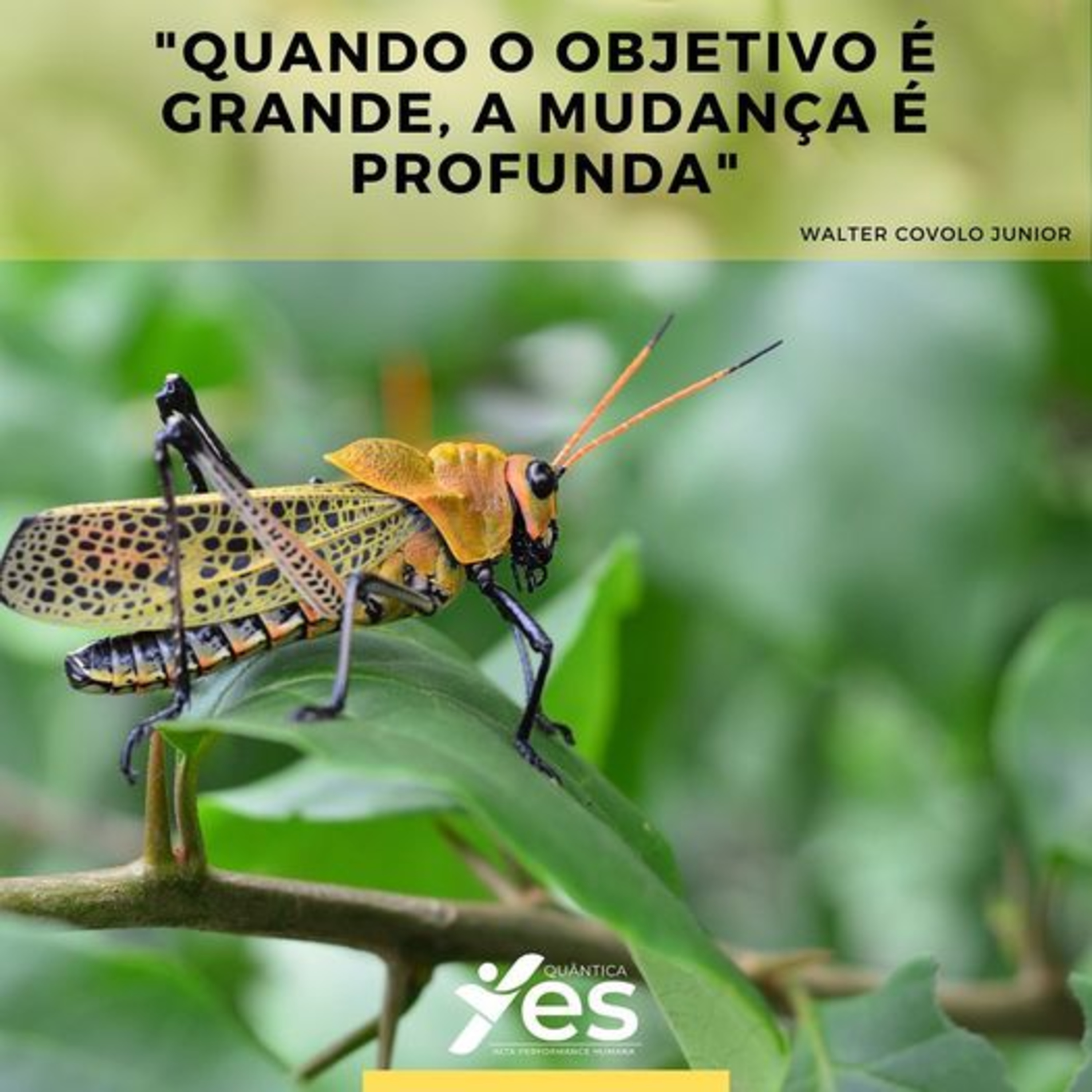 Yes Quântica Cast