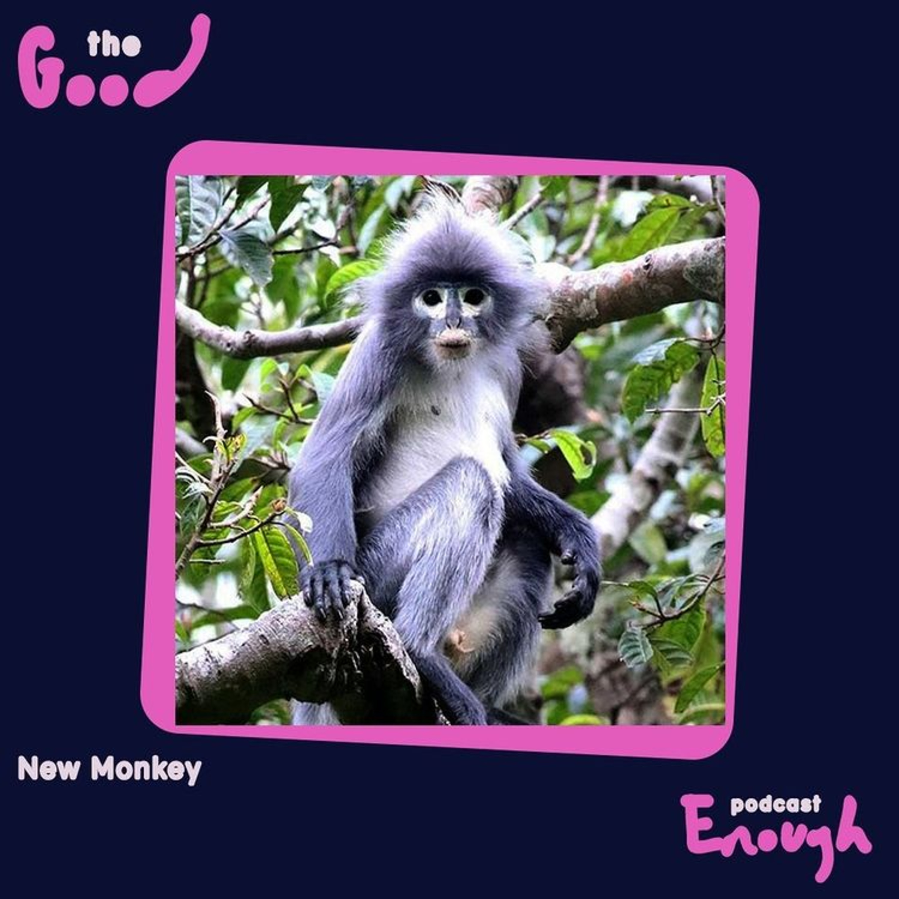 EP #21 - New Monkey - Good Enough Podcast episode artwork