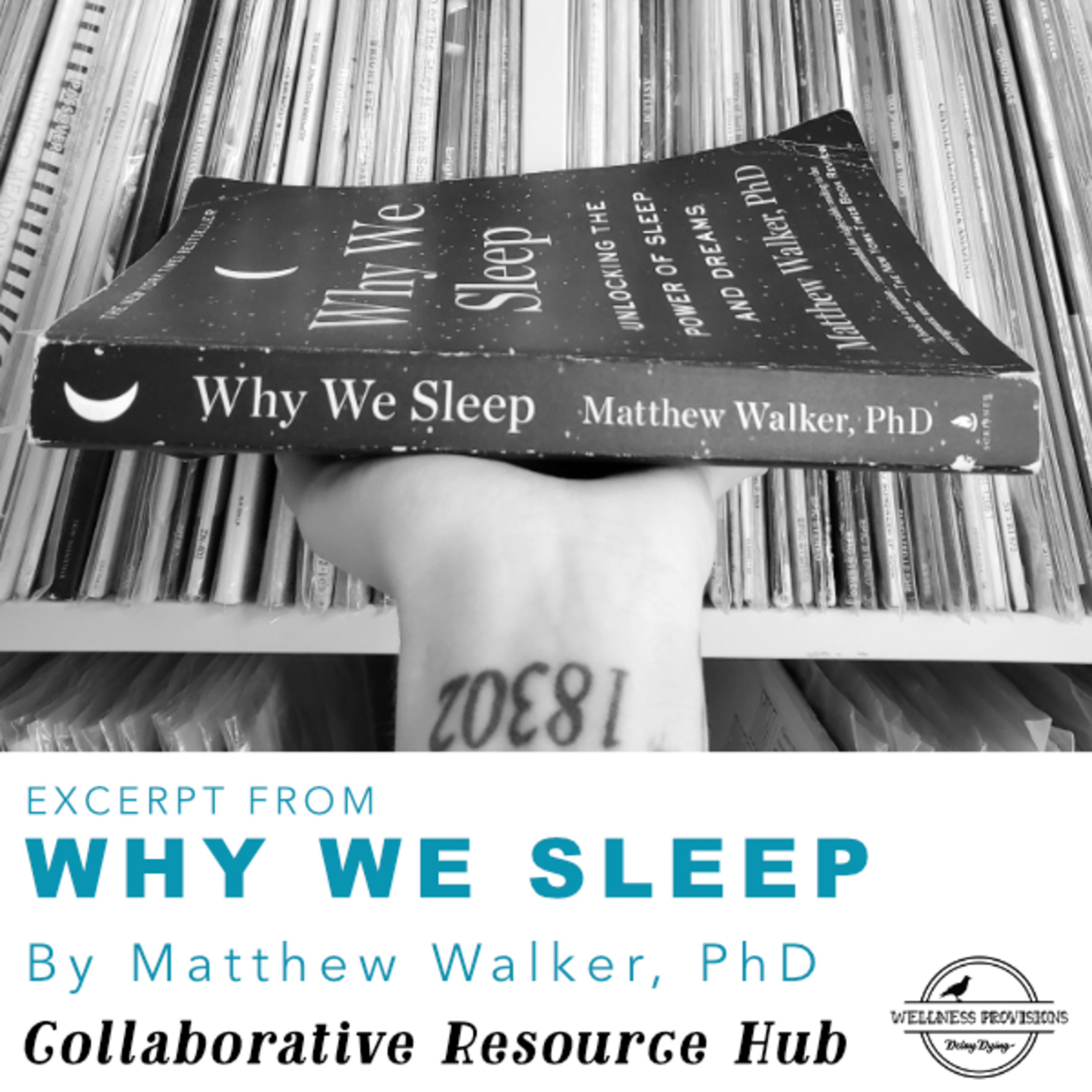 Collaborative Resource Hub: Wellness in Rock and Roll