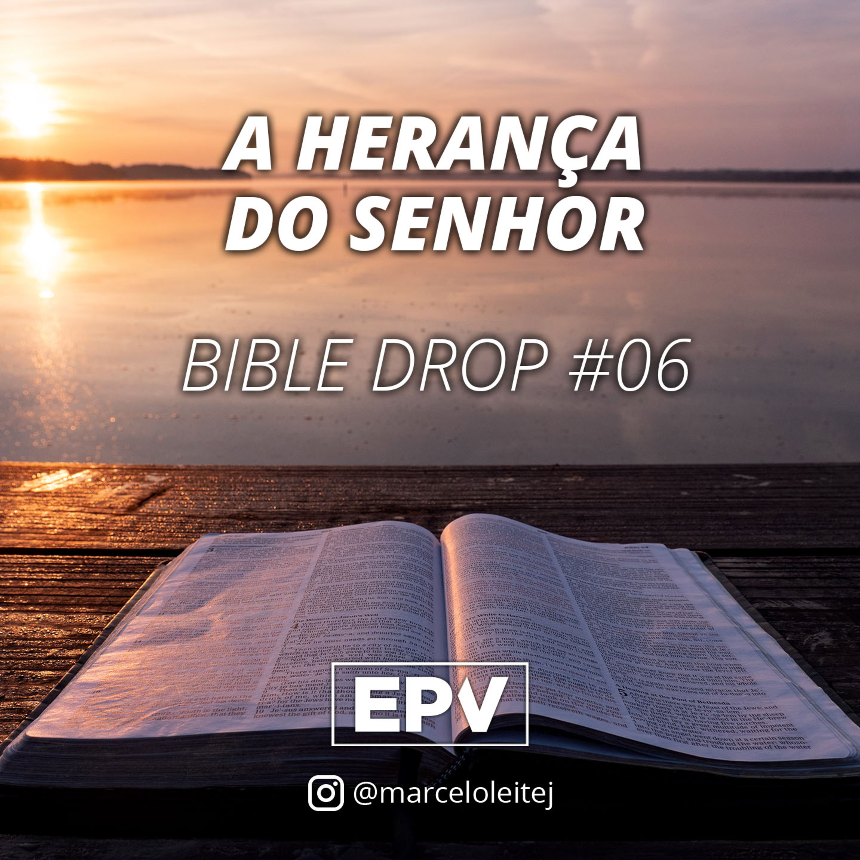 EPV - Marcelo Leite