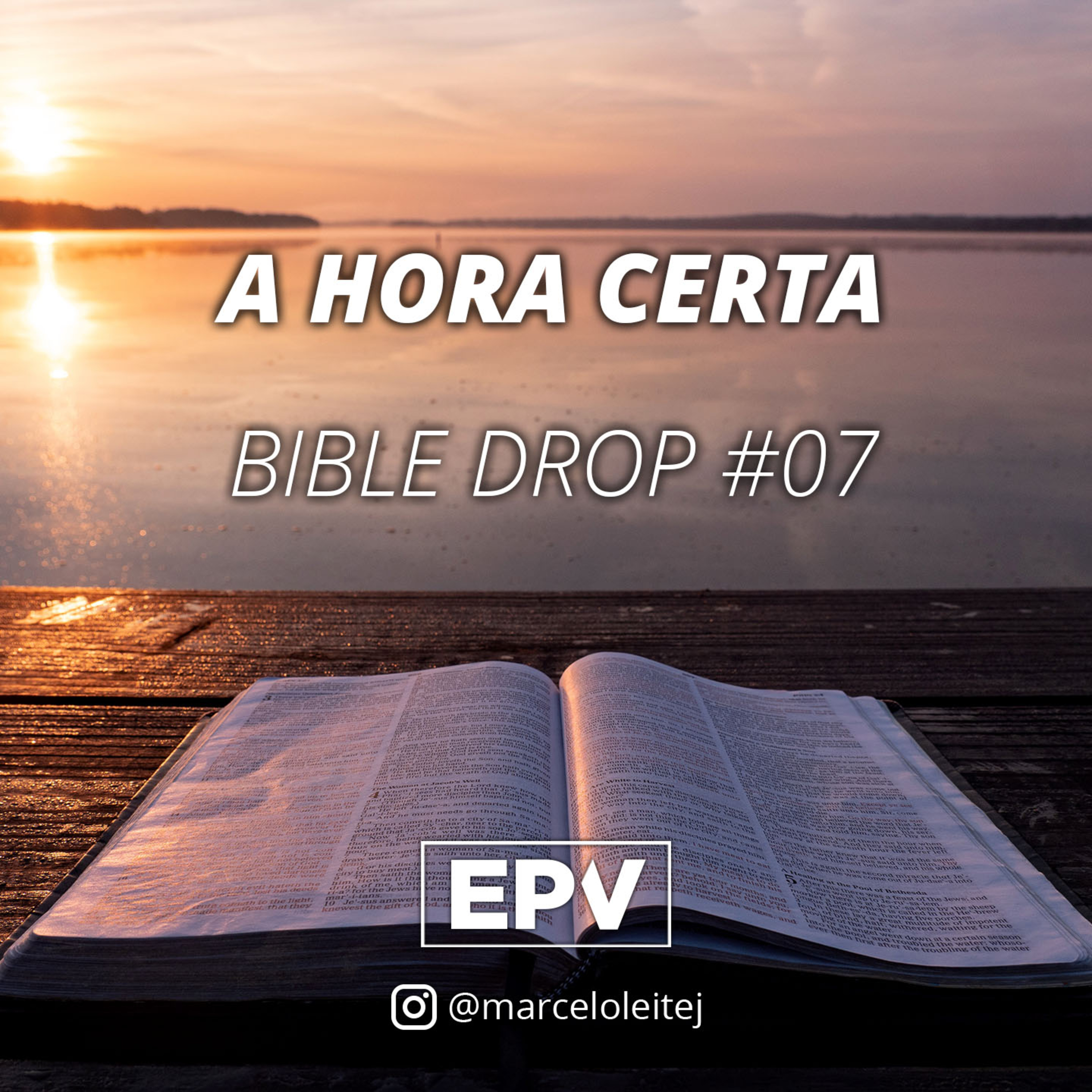 EPV - Marcelo Leite