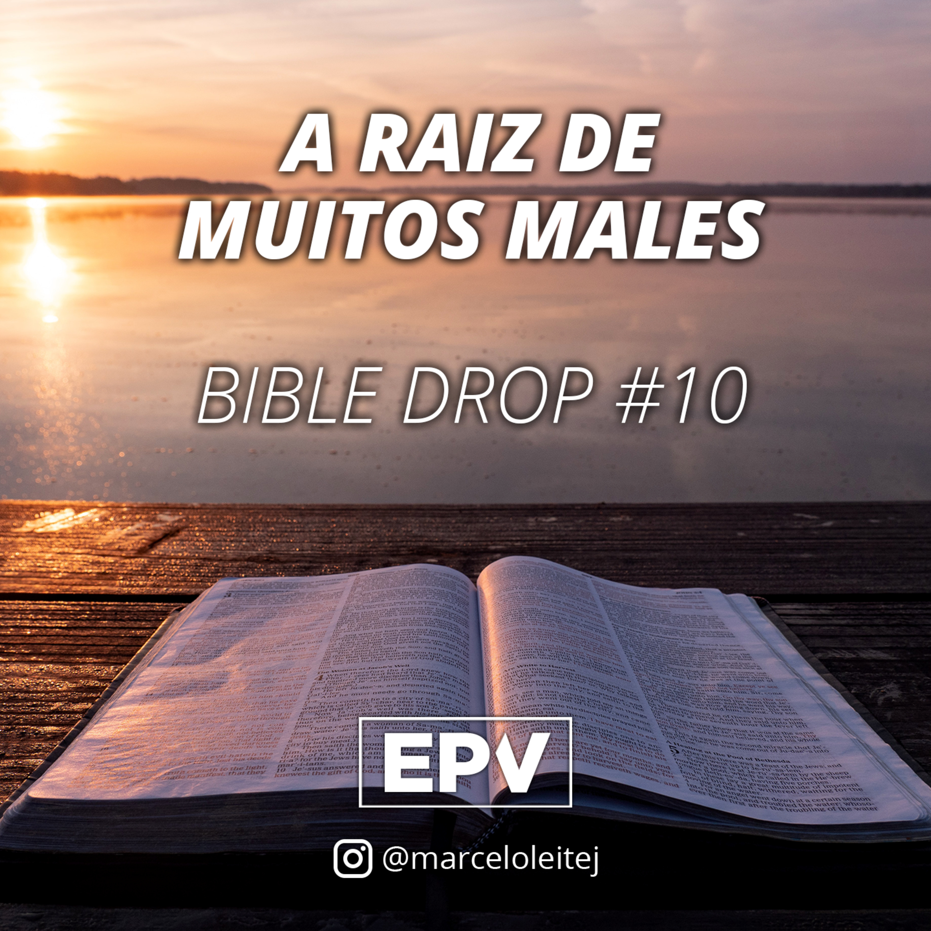 EPV - Marcelo Leite
