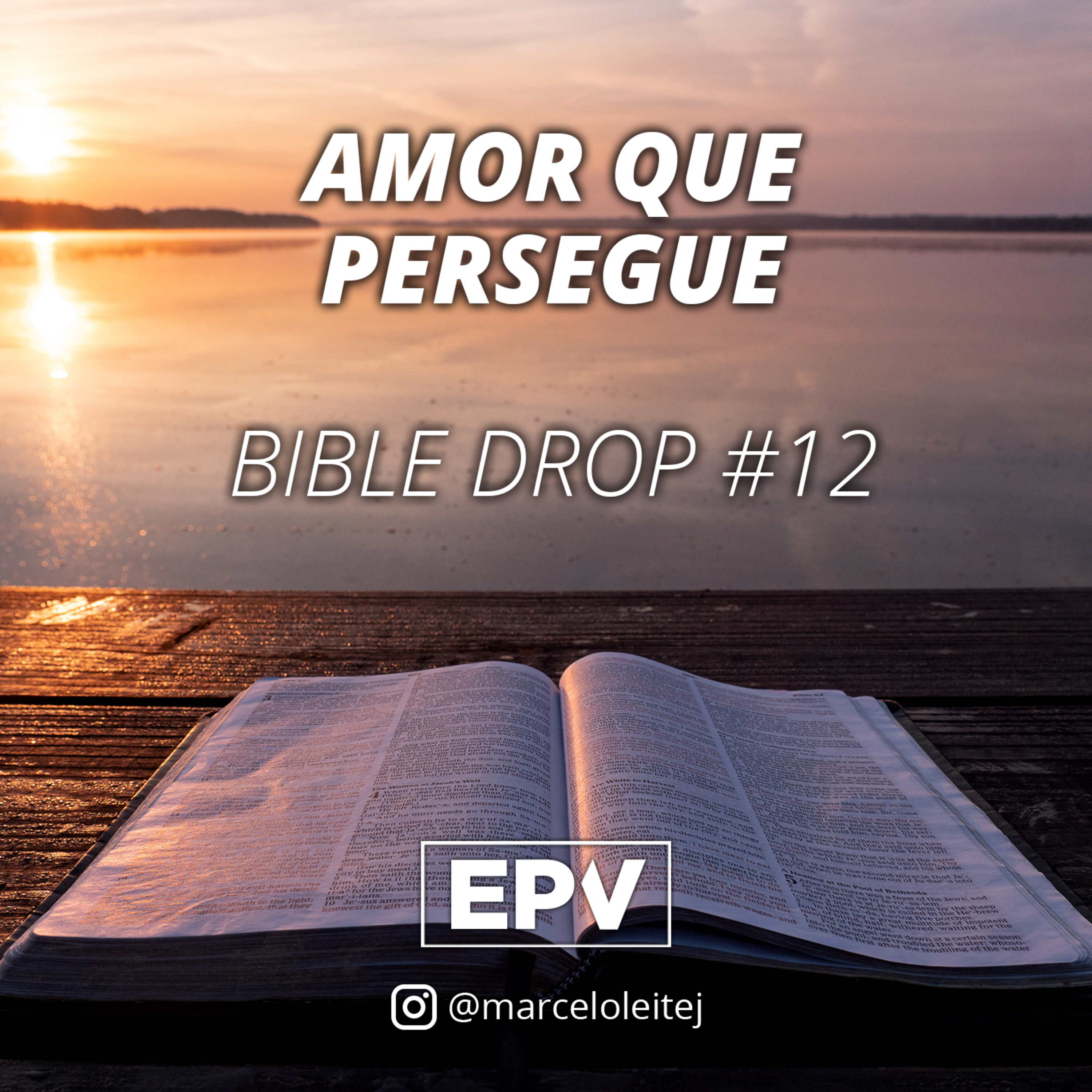 EPV - Marcelo Leite