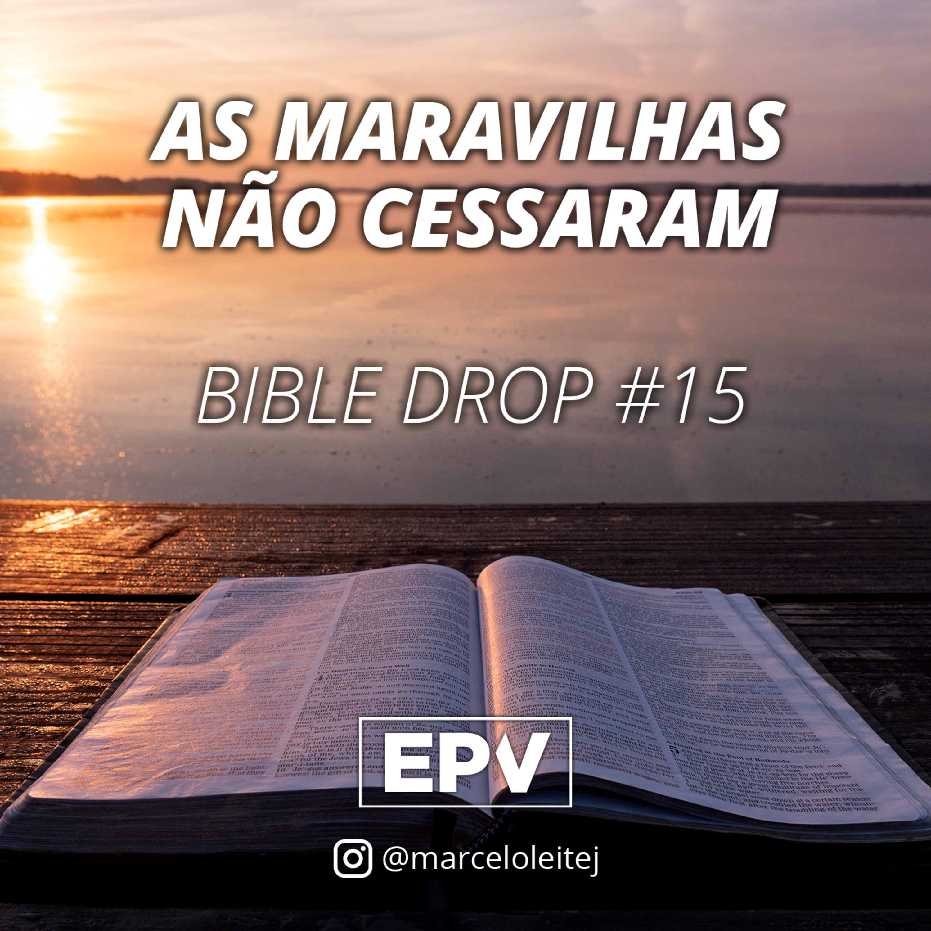 EPV - Marcelo Leite