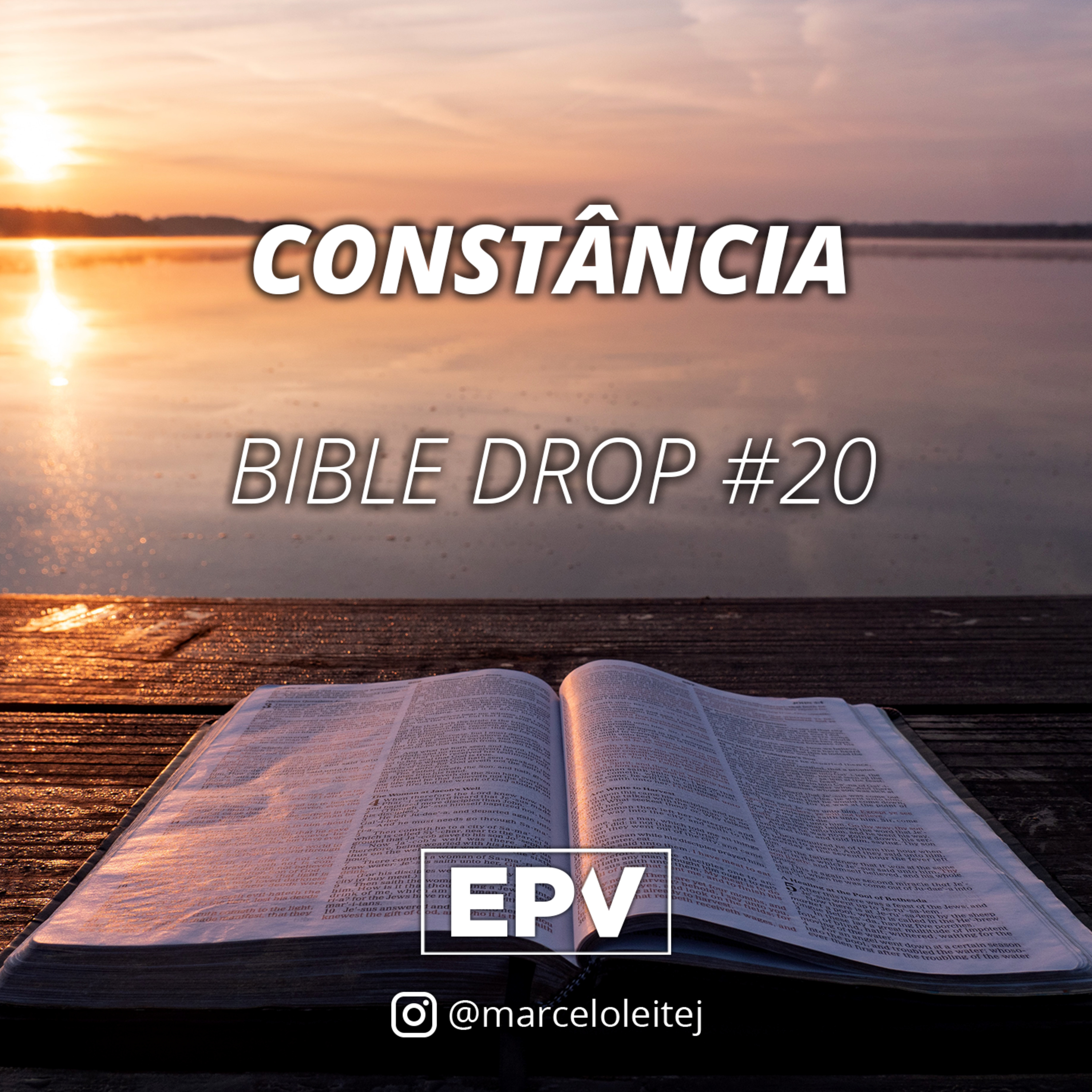 EPV - Marcelo Leite