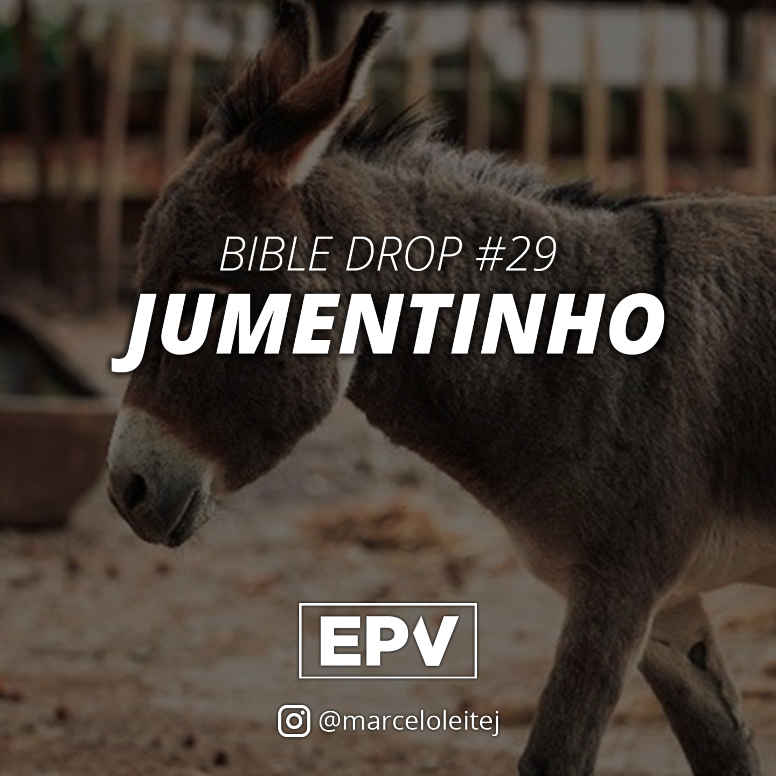 EPV - Marcelo Leite