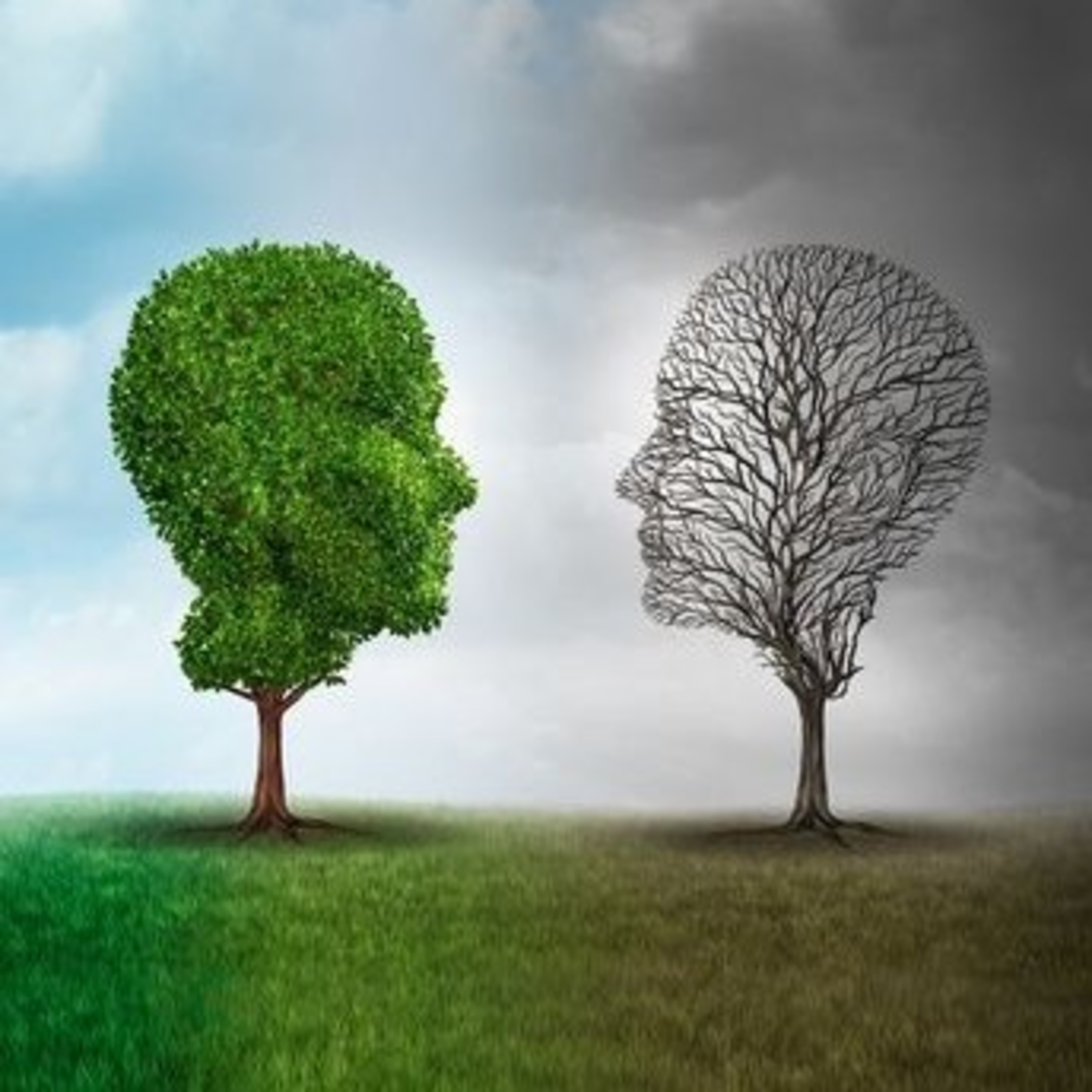 سلسله گفتار ﴿۳۲﴾ استاد جمالی درباره‌ی فرهنگ زنخدایی/سیمرغی/ارتایی/خرّمدینی ایران episode artwork