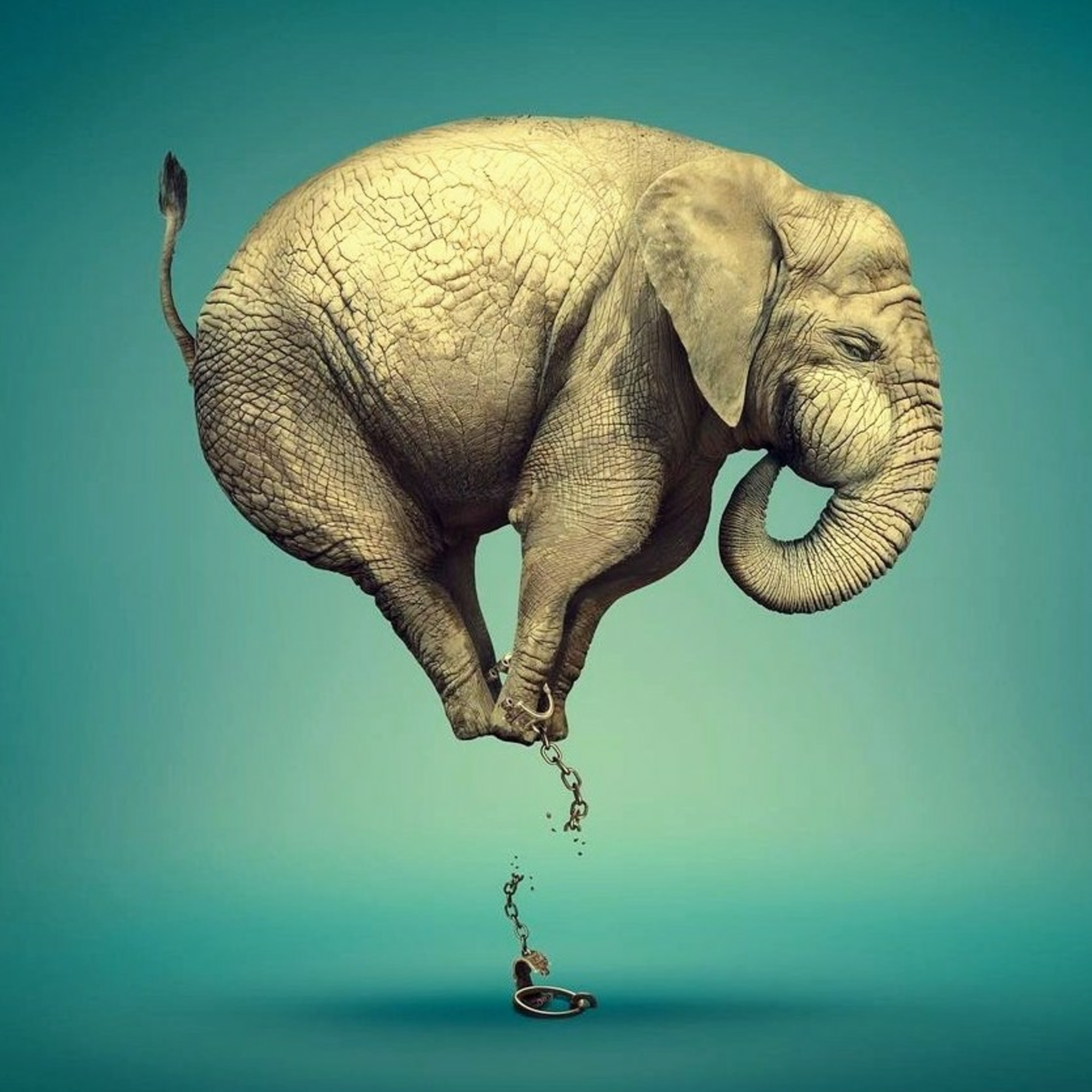 فریاب خرد «۱» مهندینگی خردگرایی ایرانی  episode artwork
