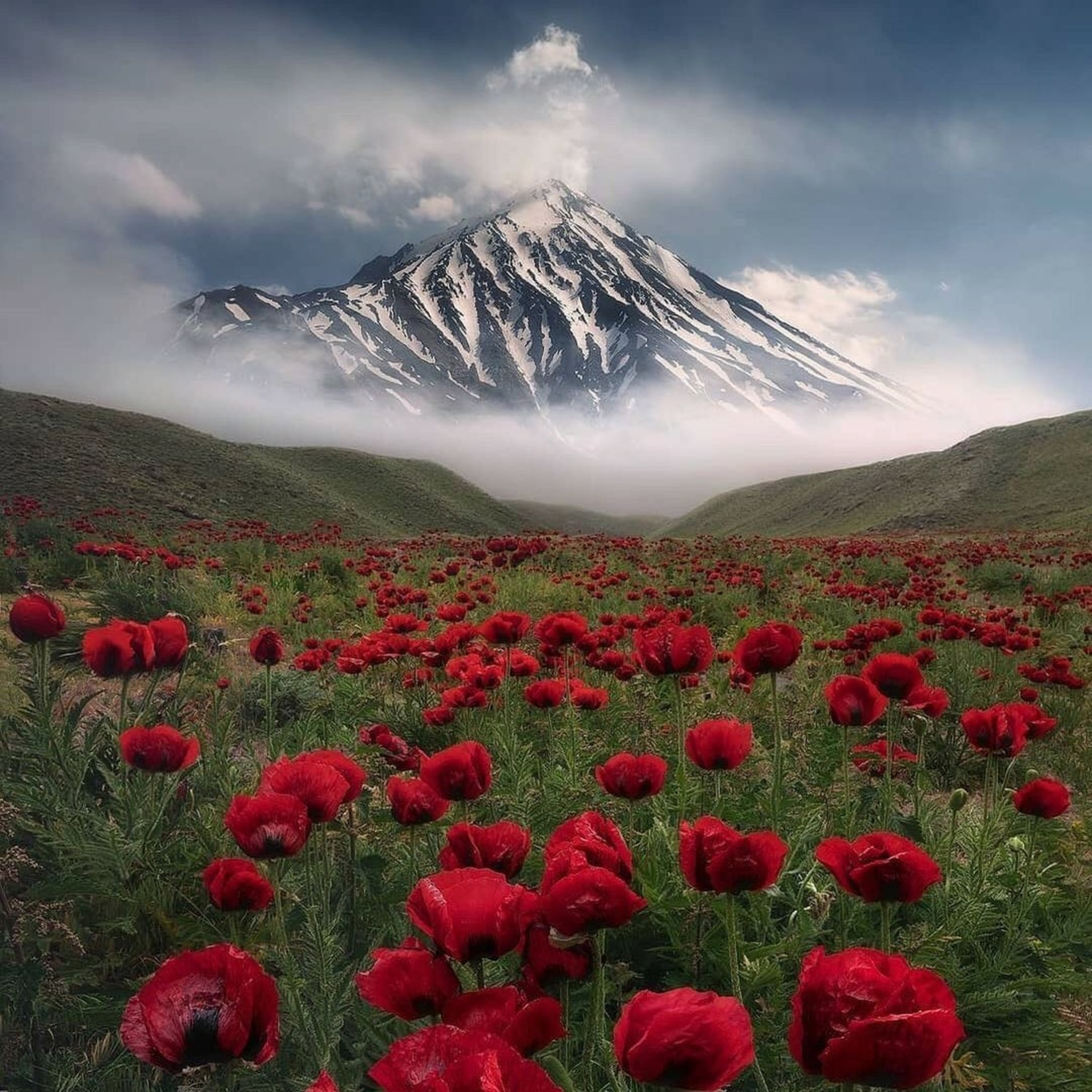 فریاب خرد «۱۲» انسان زیبا و آیین مهر و دوستی  episode artwork