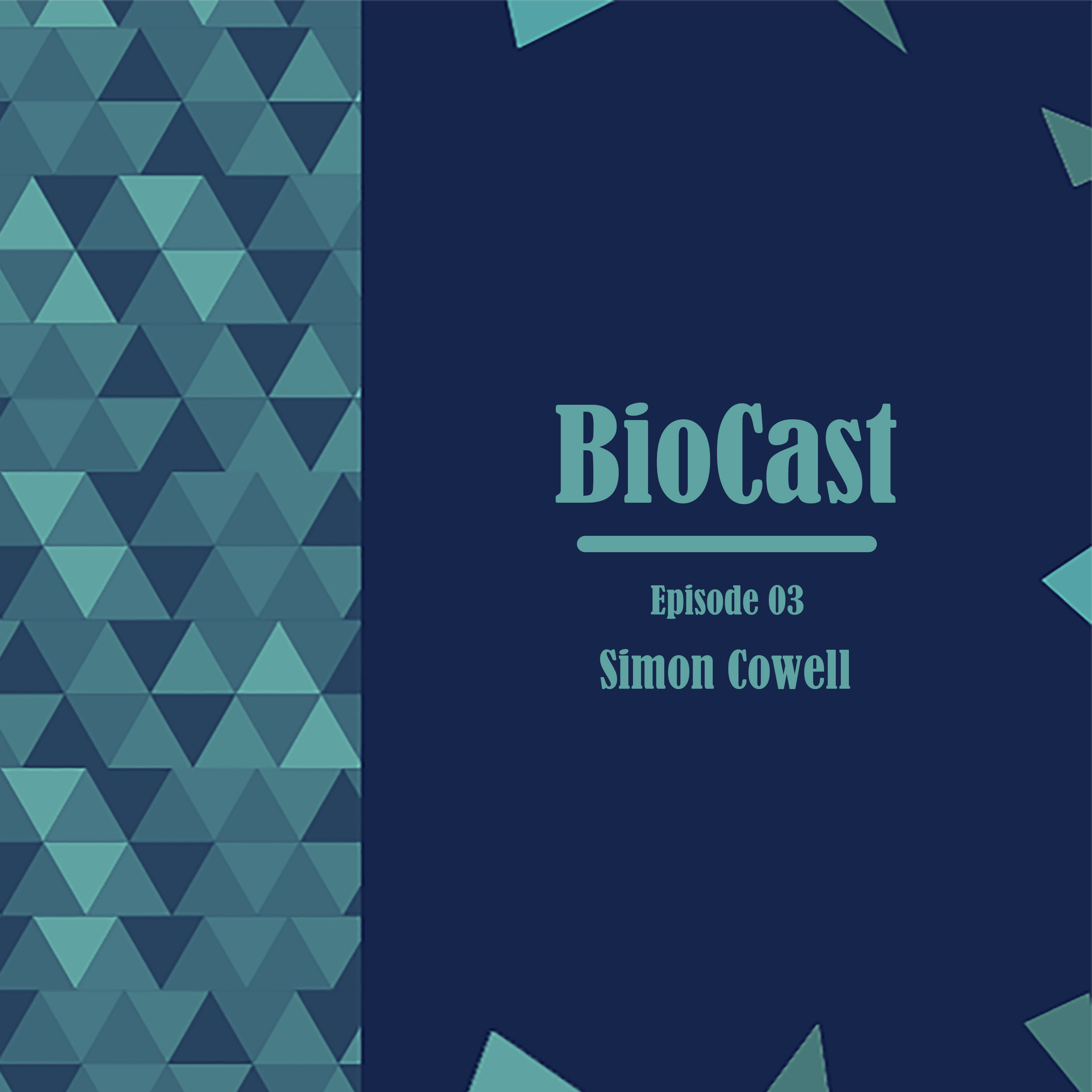 Simon Cowell
