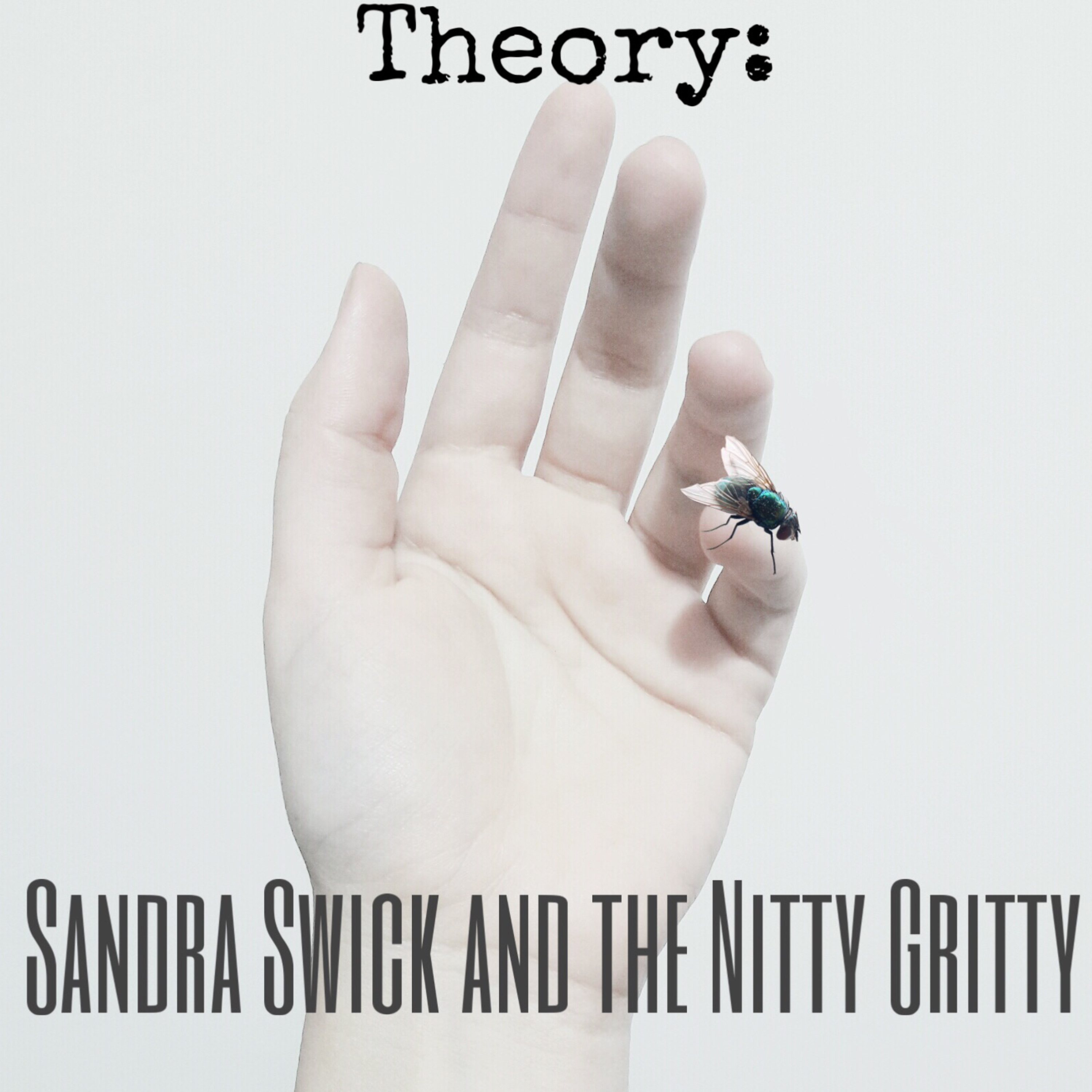 Theory: S. 1, Ep. 6: Sandra Swick & The Nitty Gritty Feat. Tori Armstrong