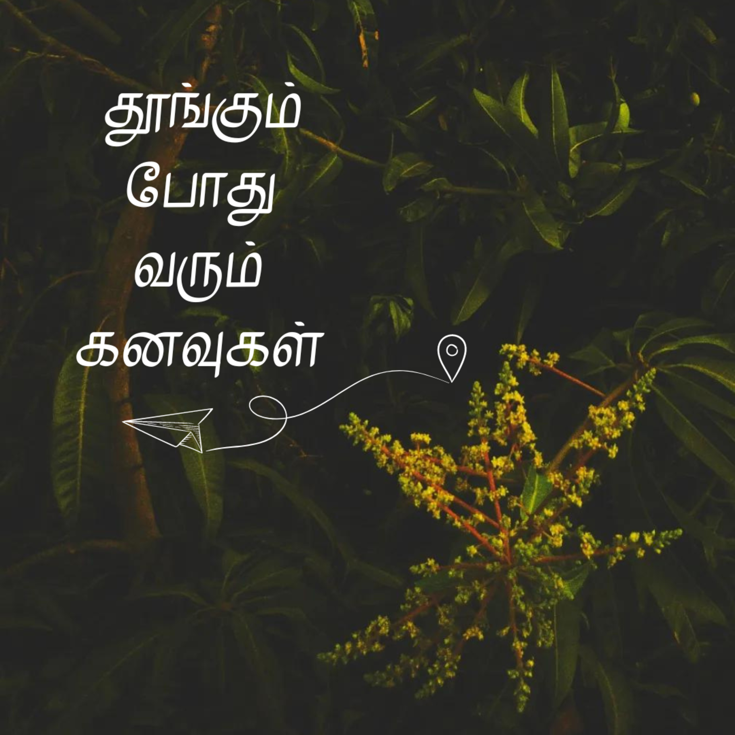 Sleeping Dreams 😴 | Do dreams have a small impact on your reality? | Tamil episode artwork