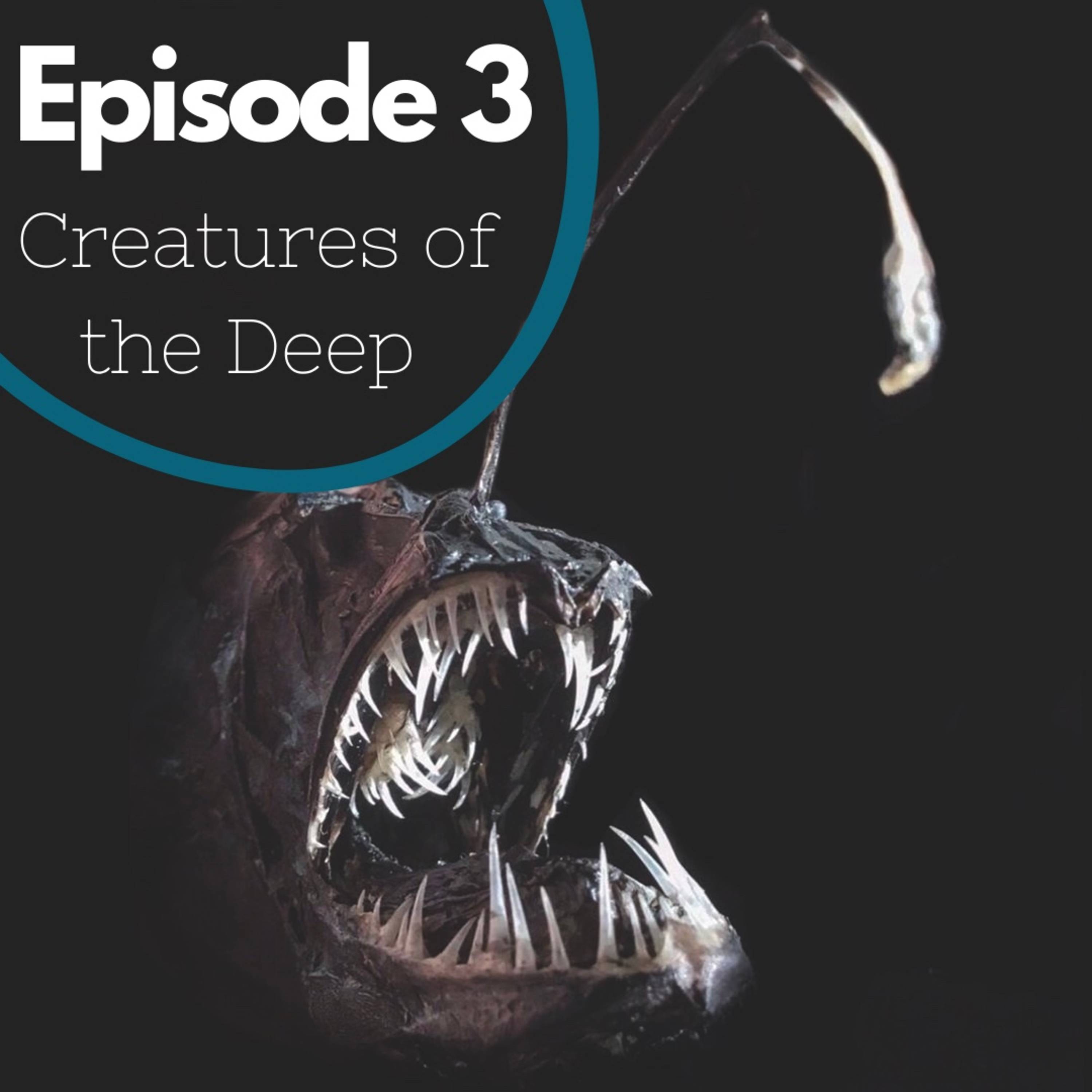 Episode 3 - Creatures of The Deep
