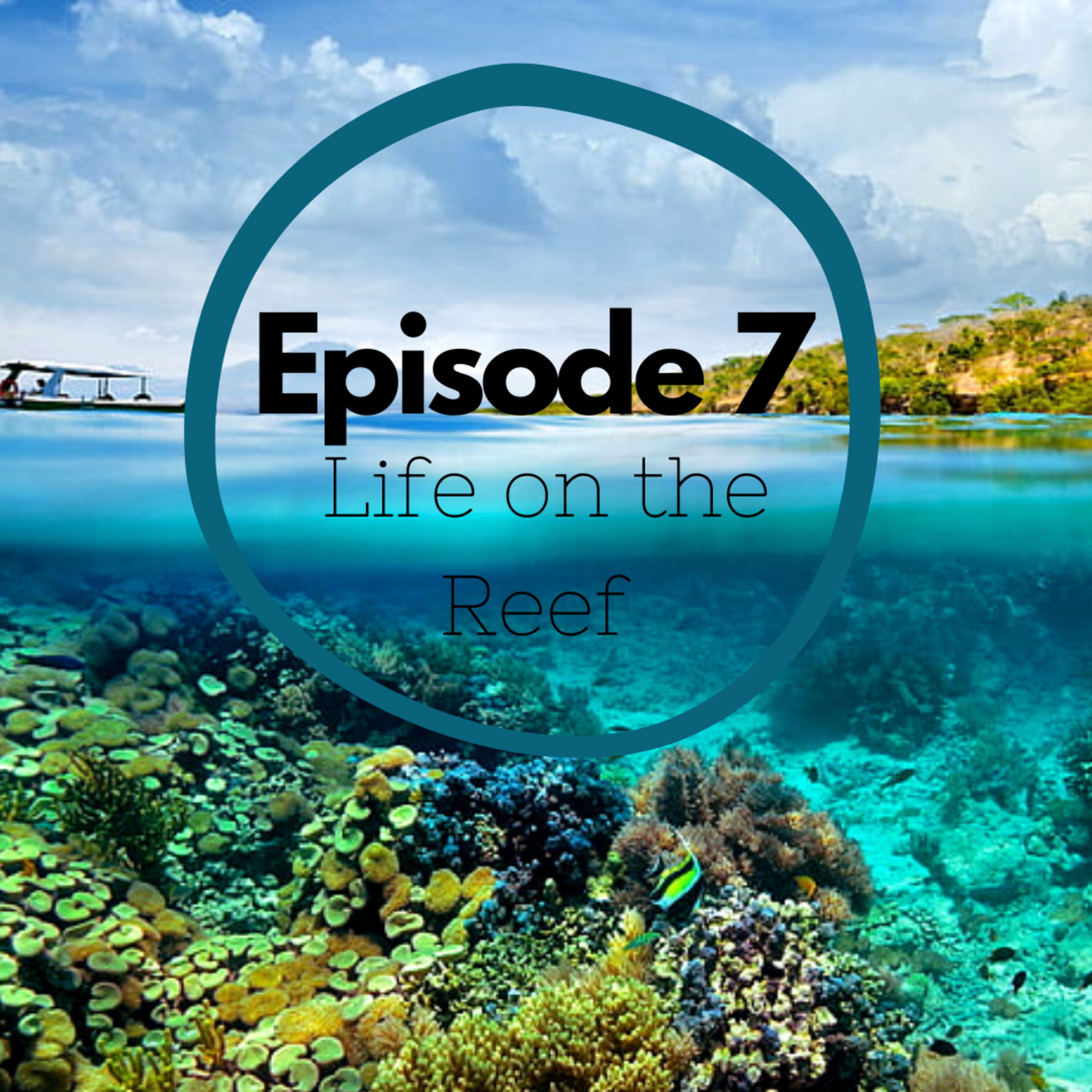 Episode 7 - Life on the Reef