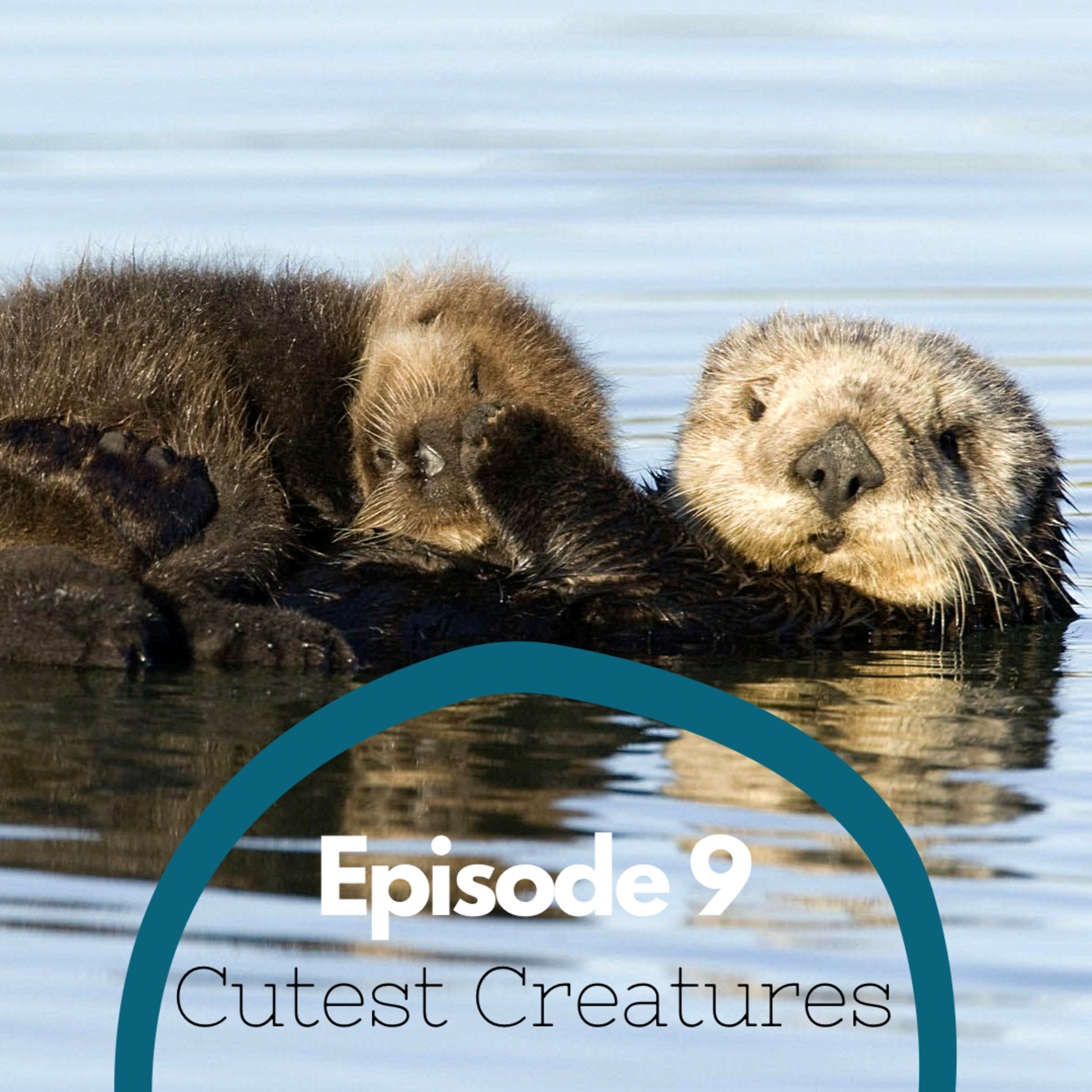 Episode 9 - Cutest Creatures