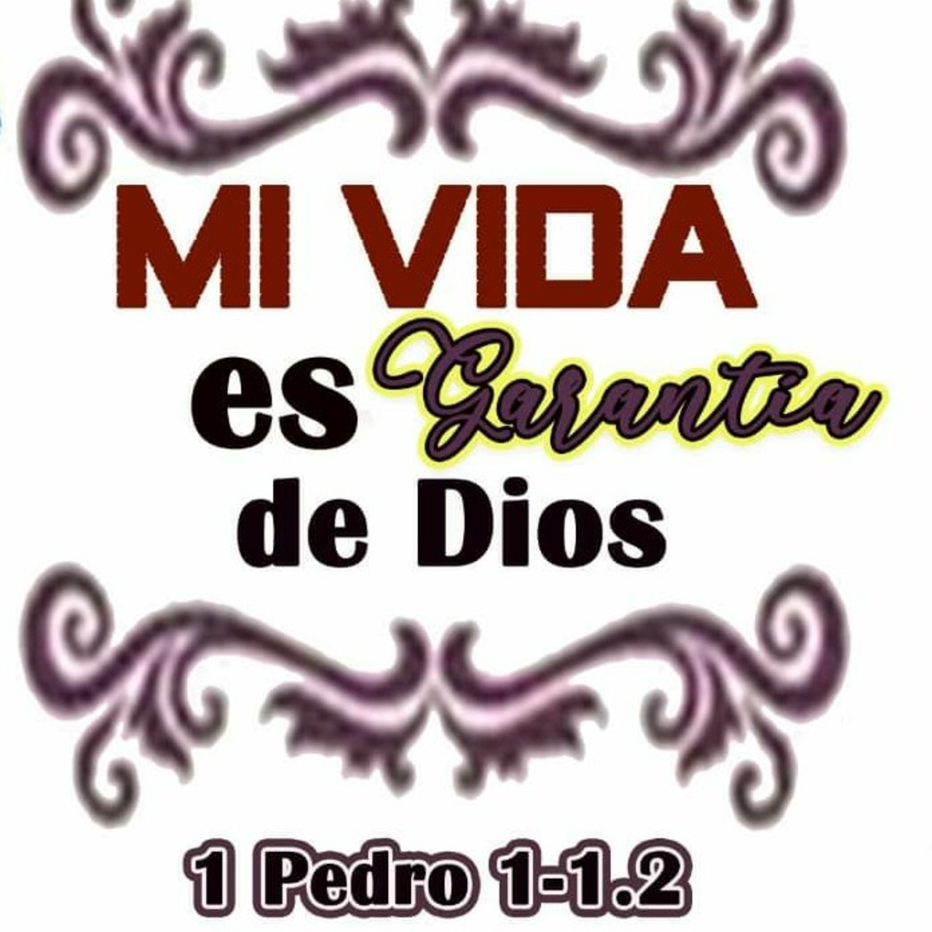 ¿La Biblia lo dice?