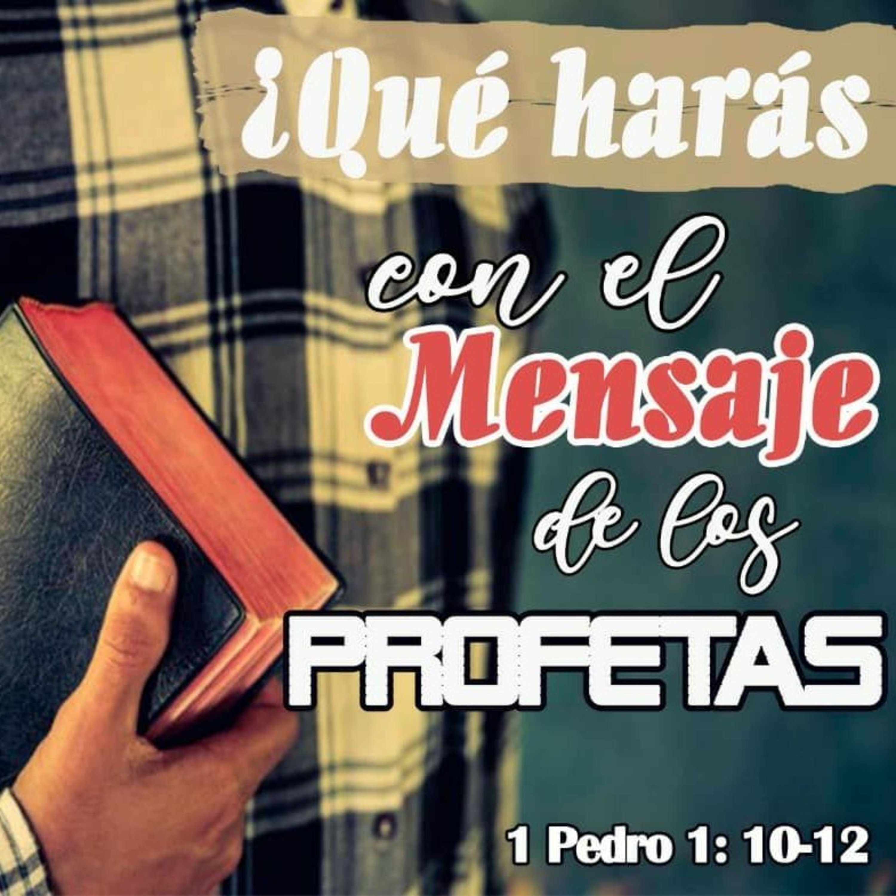¿La Biblia lo dice?