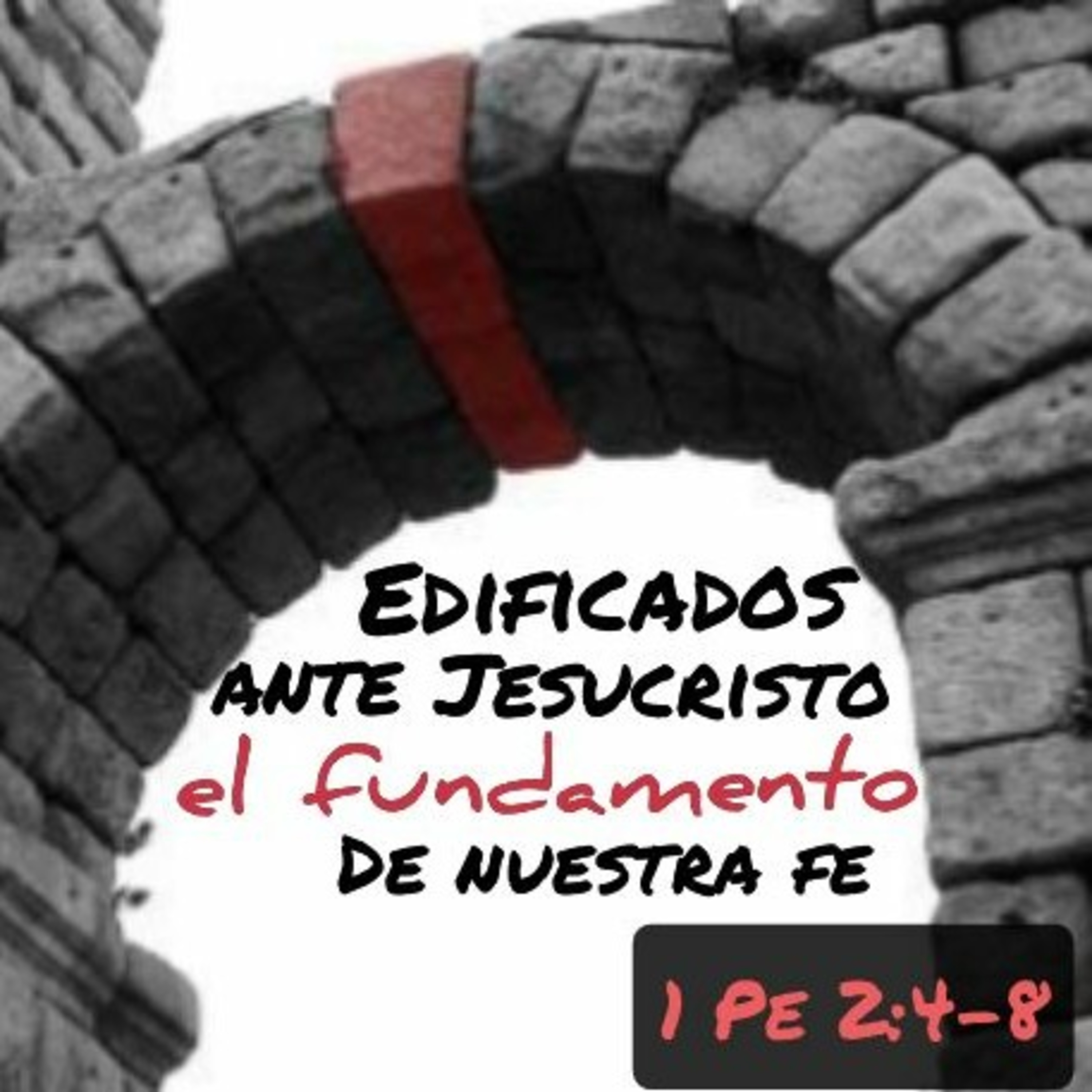¿La Biblia lo dice?