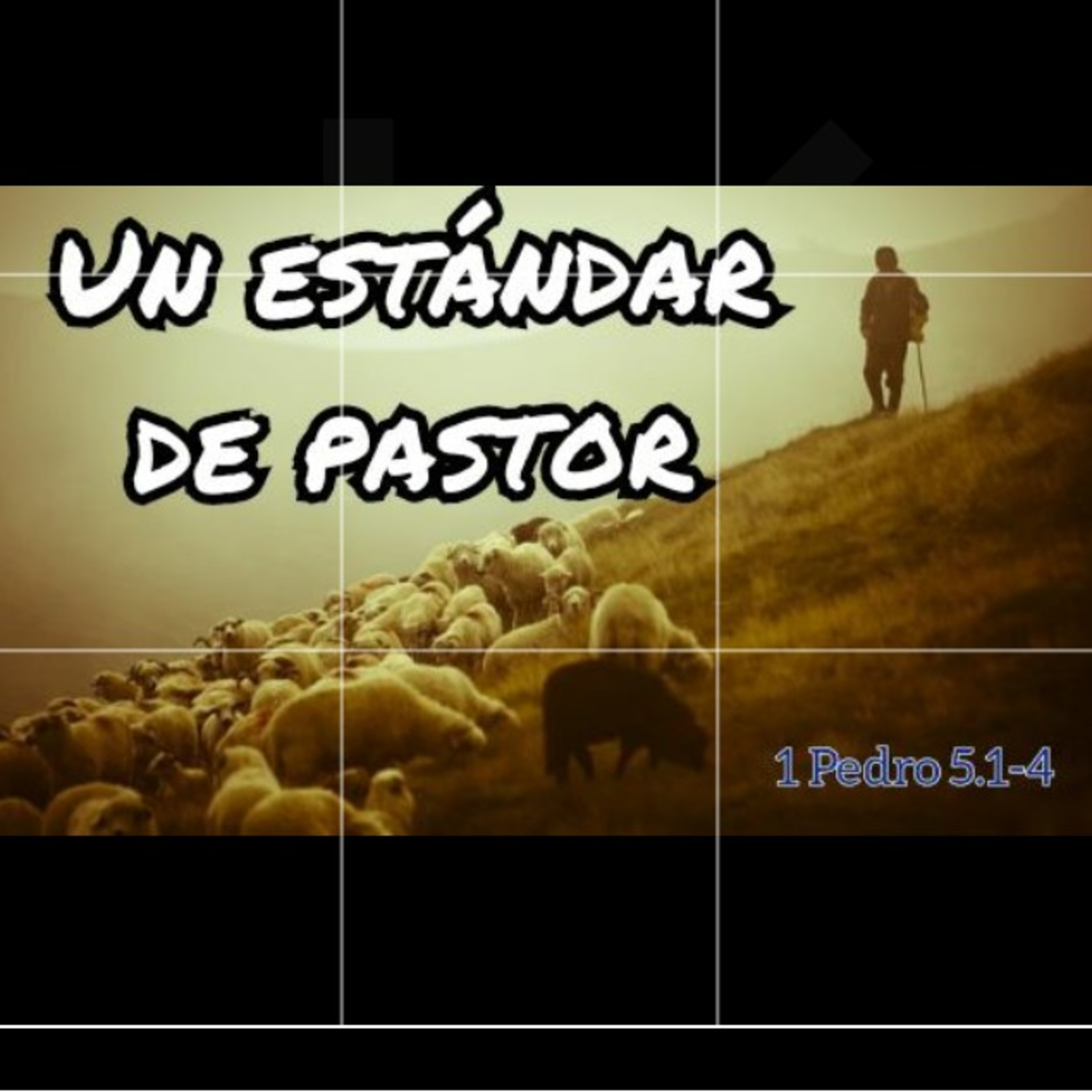 ¿La Biblia lo dice?