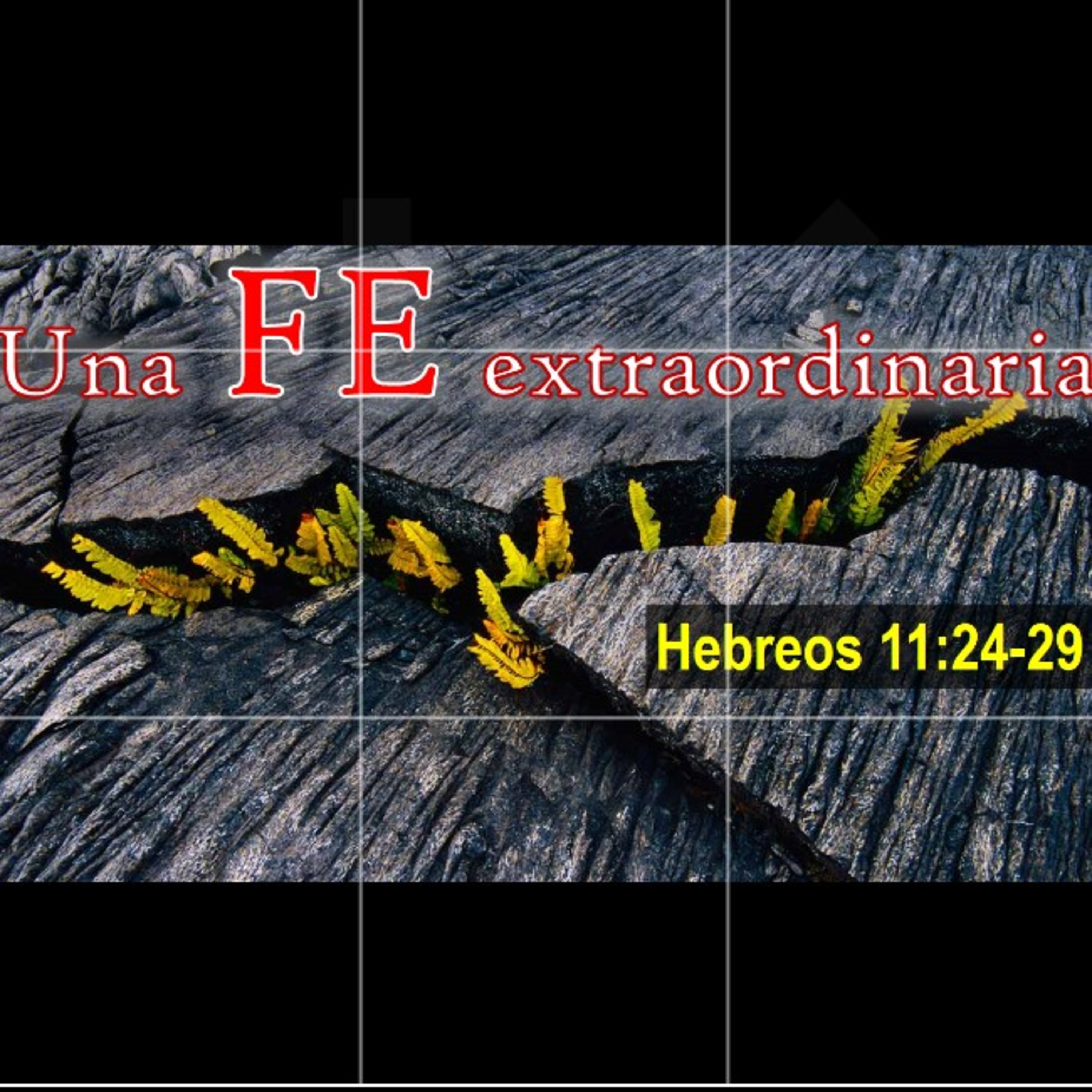 ¿La Biblia lo dice?
