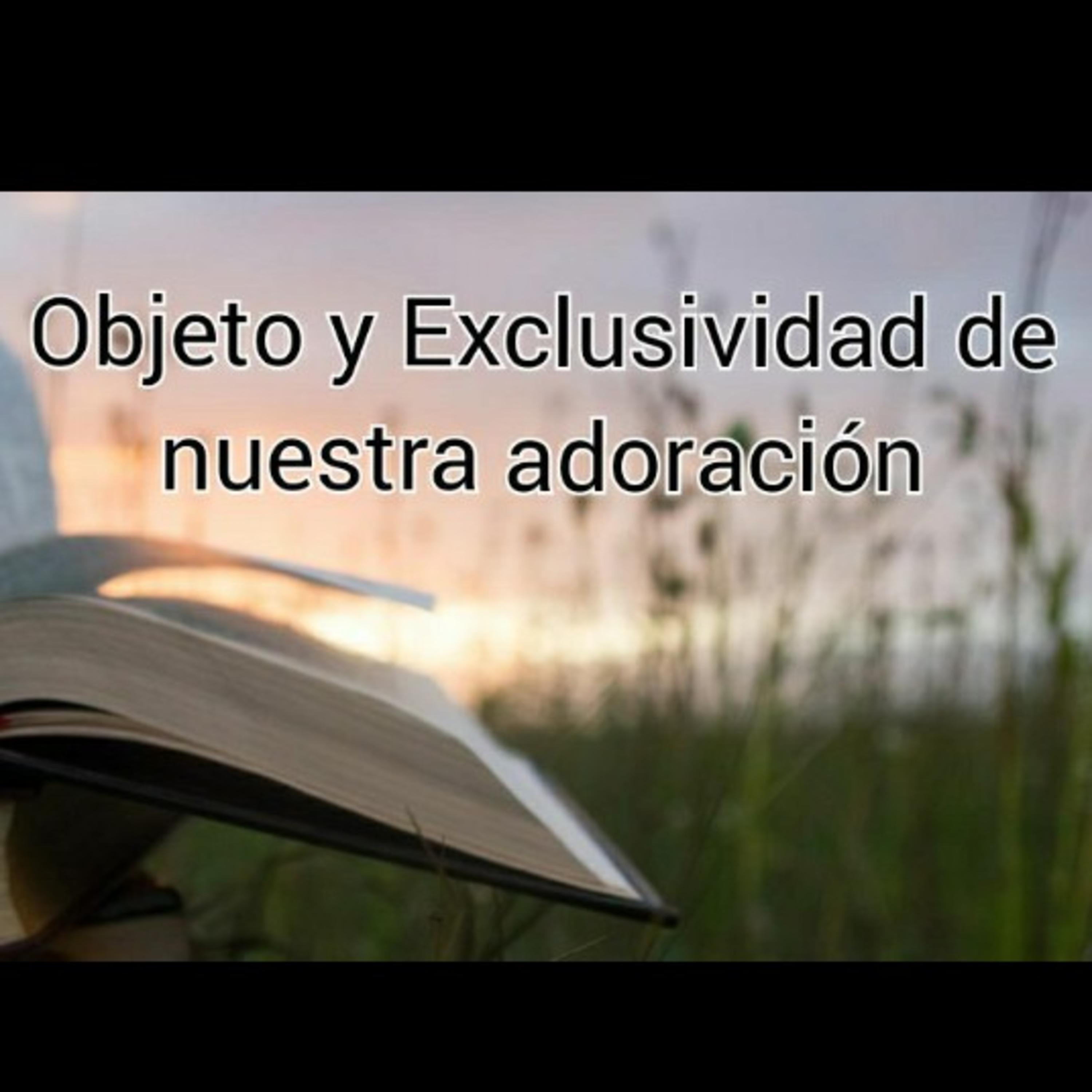 ¿La Biblia lo dice?