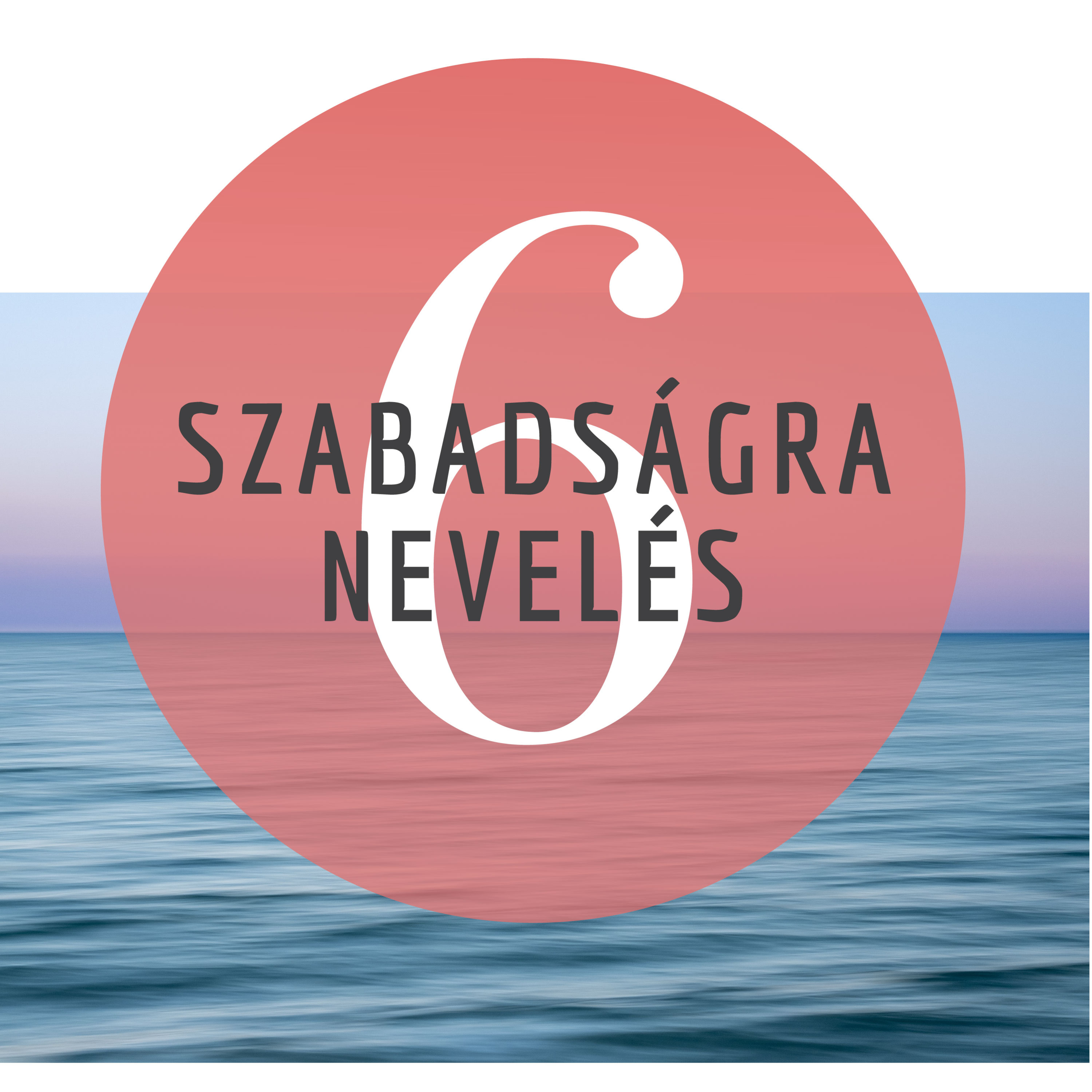 Szabadságra nevelés - A Waldorf-pedagógiáról közérthetően