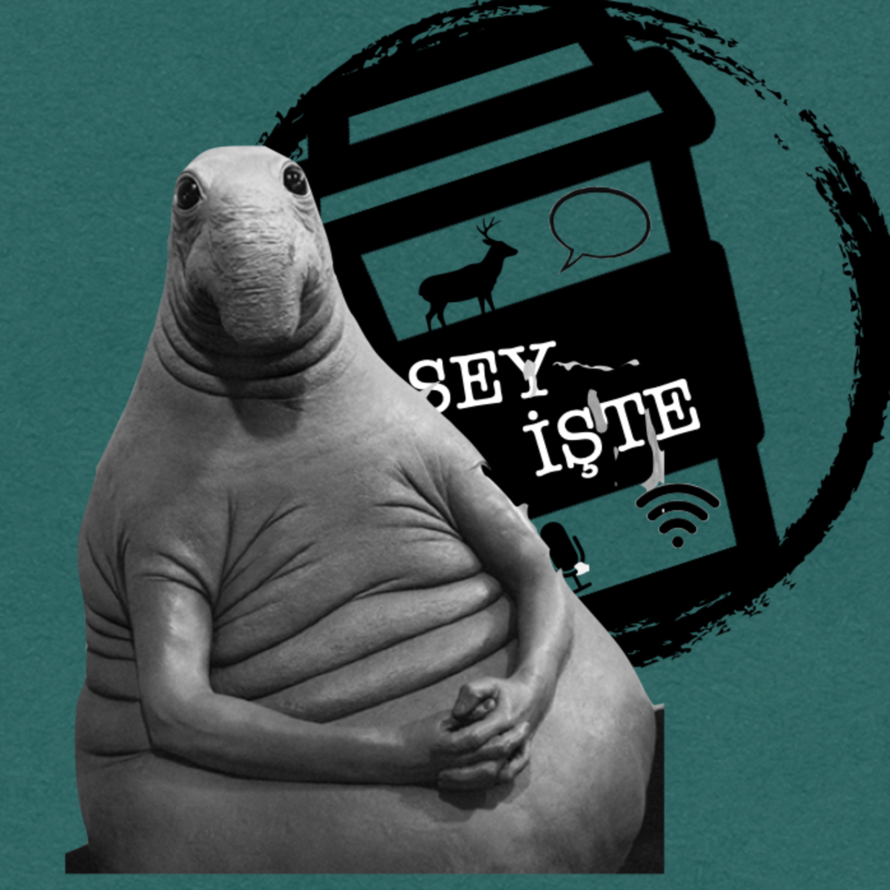 Şey İşte
