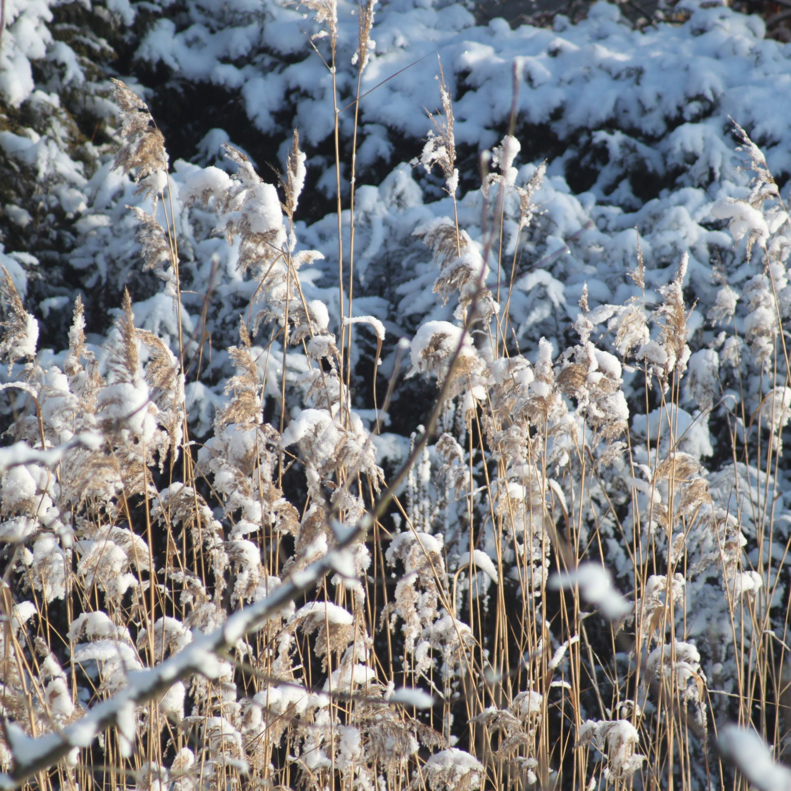 Geschichten der Hoffnung - Geschichten, die helfen