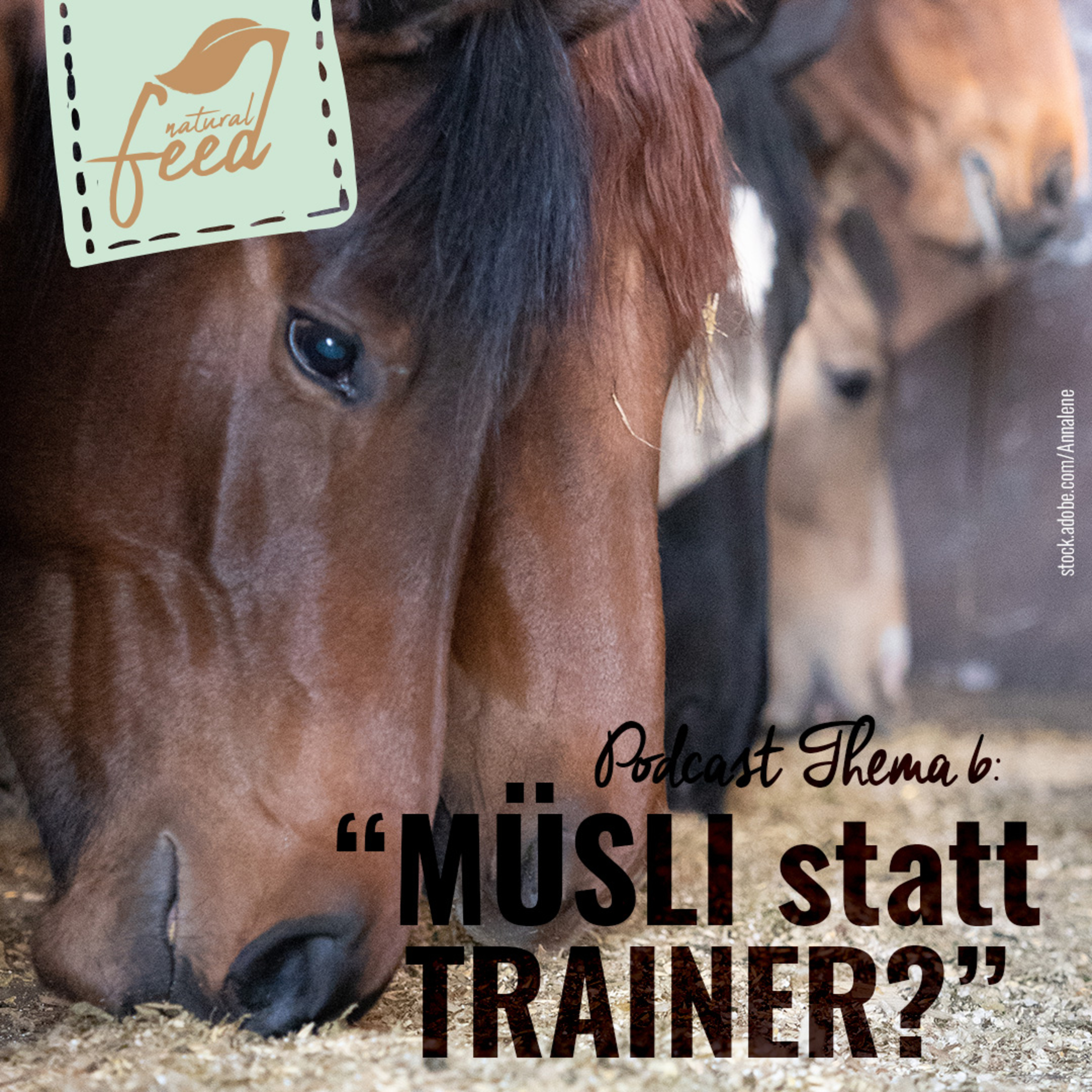Die richtige Fütterung rund um Pferd und Hund