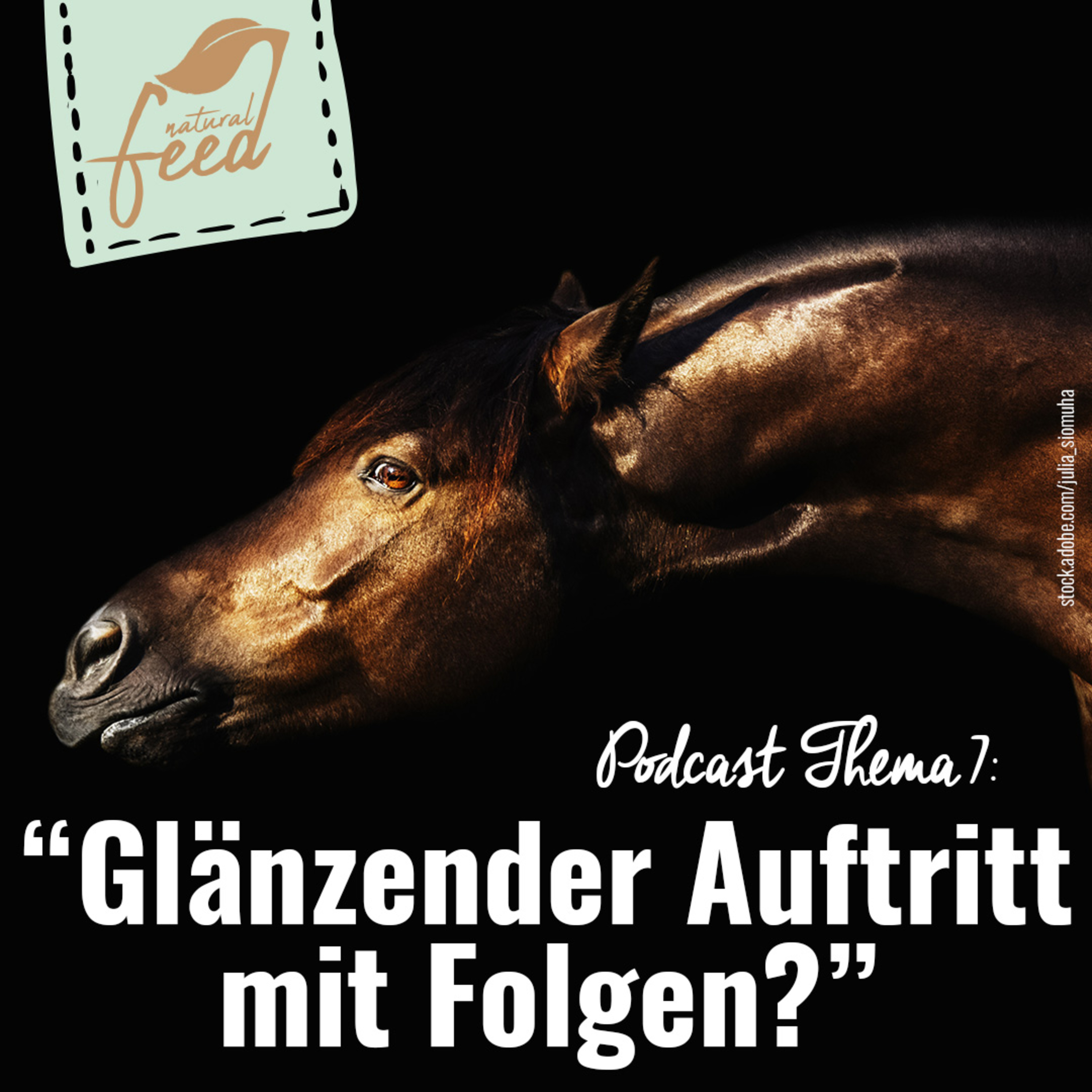 Die richtige Fütterung rund um Pferd und Hund