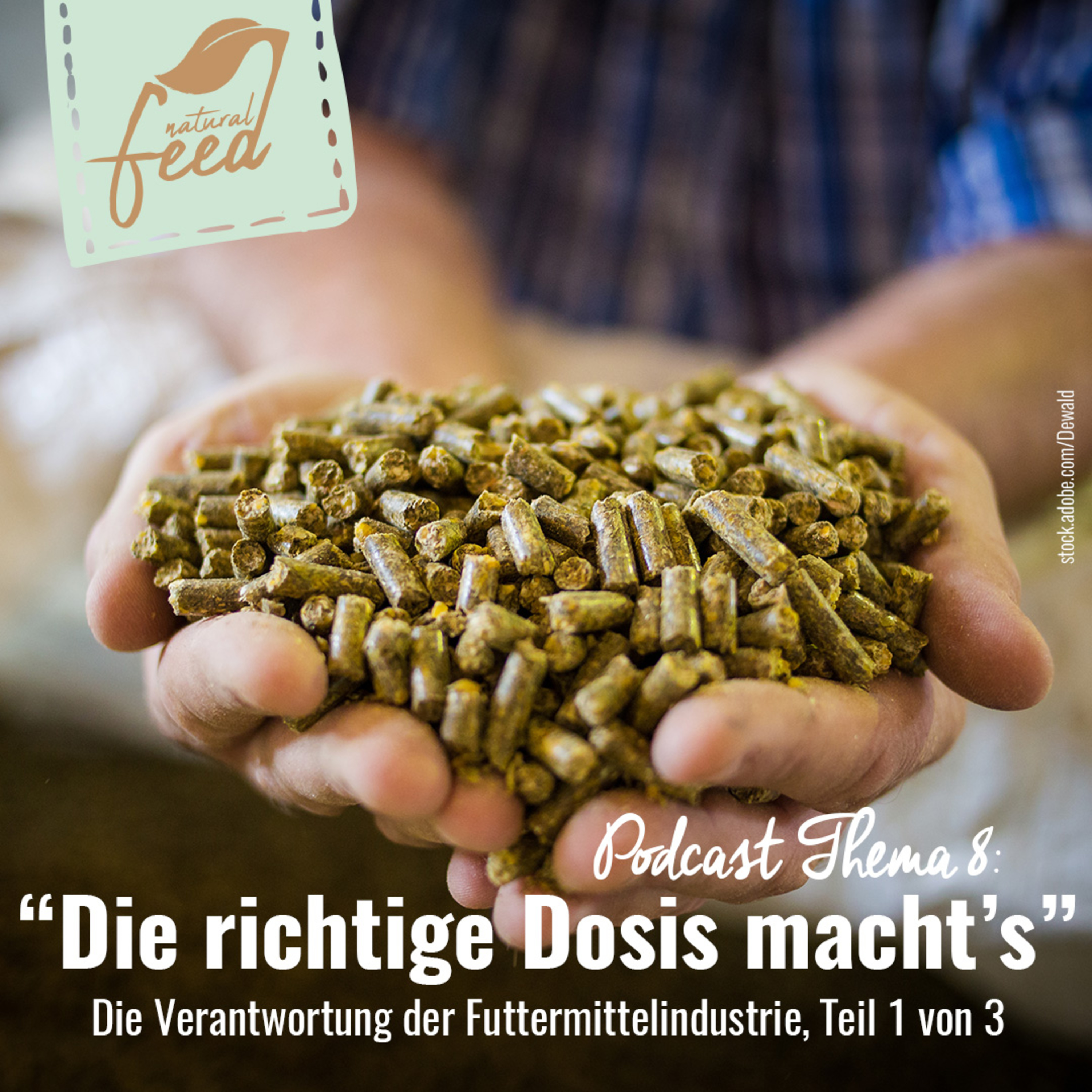 Die richtige Fütterung rund um Pferd und Hund