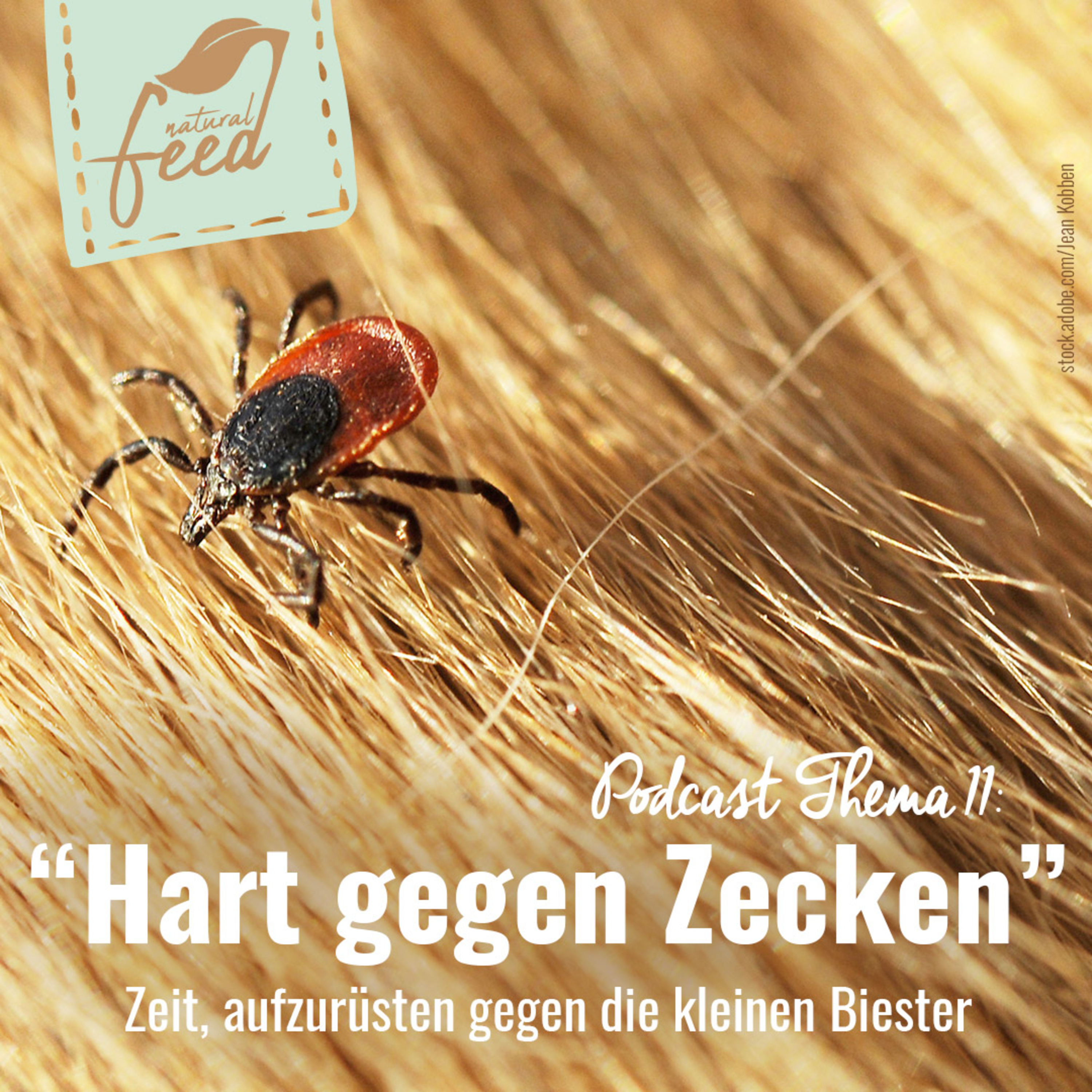 Die richtige Fütterung rund um Pferd und Hund