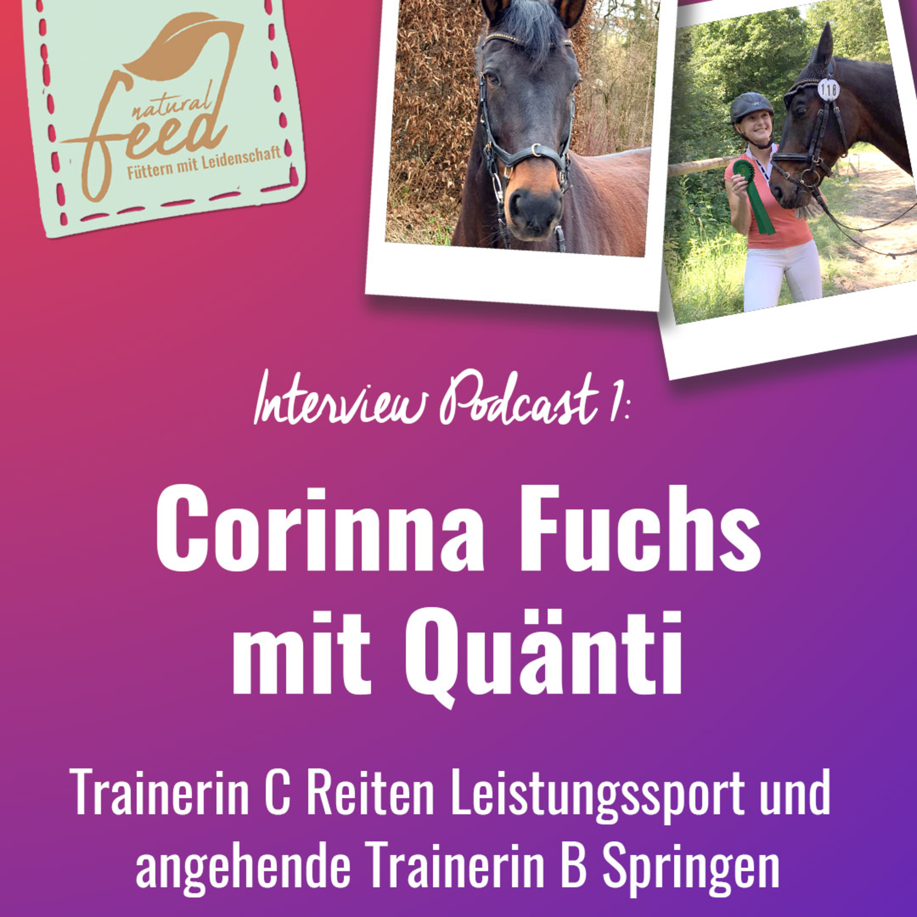 Die richtige Fütterung rund um Pferd und Hund