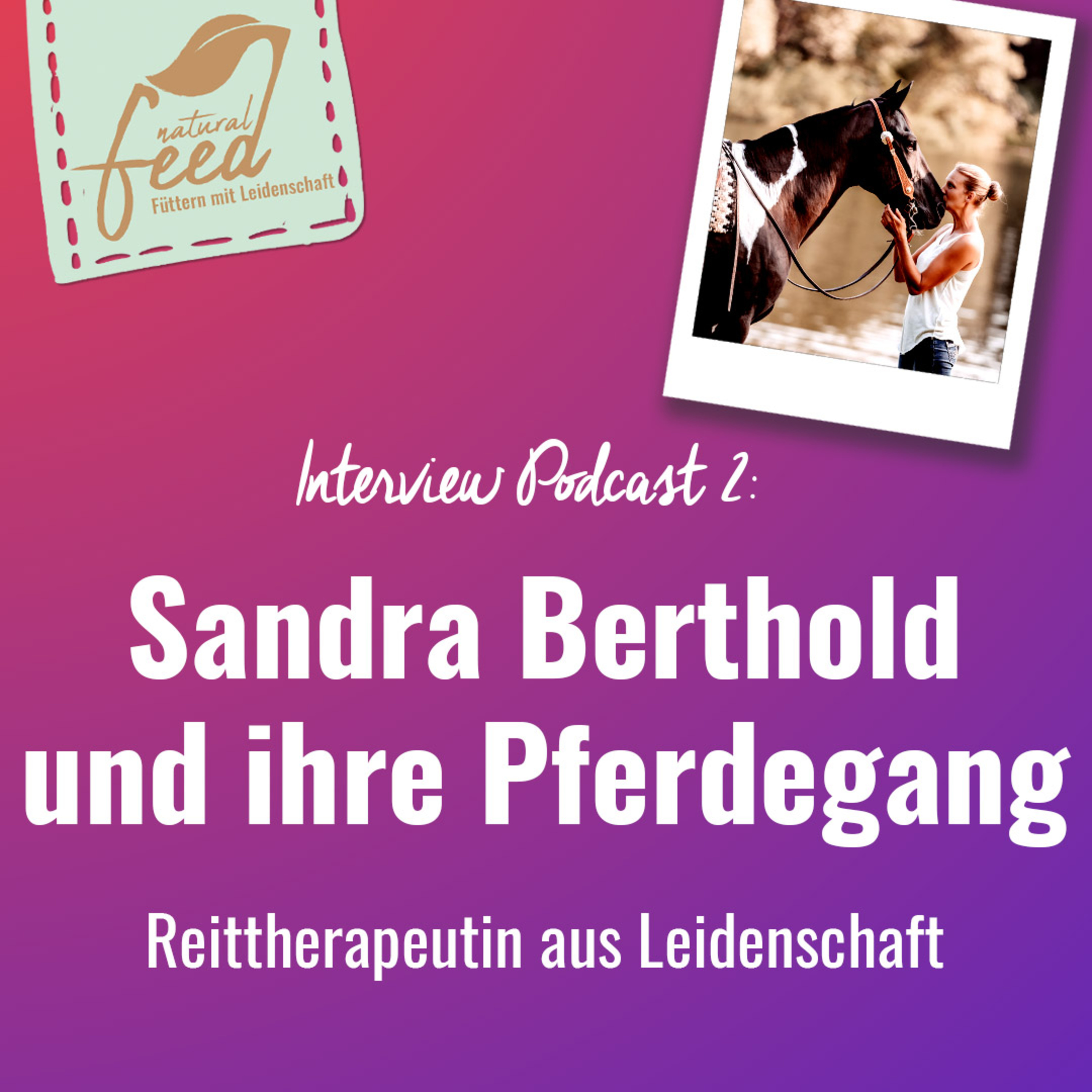 Die richtige Fütterung rund um Pferd und Hund