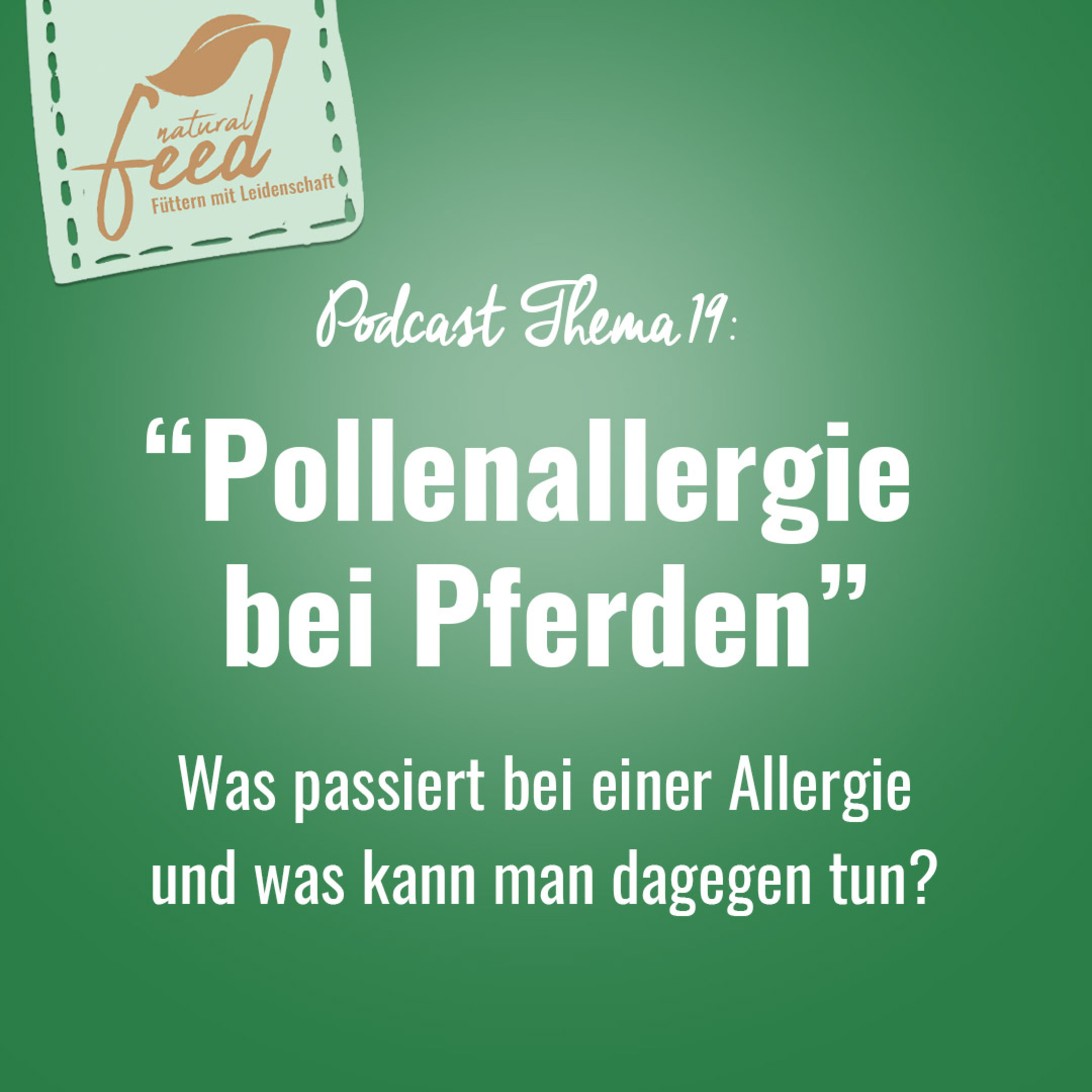 Die richtige Fütterung rund um Pferd und Hund