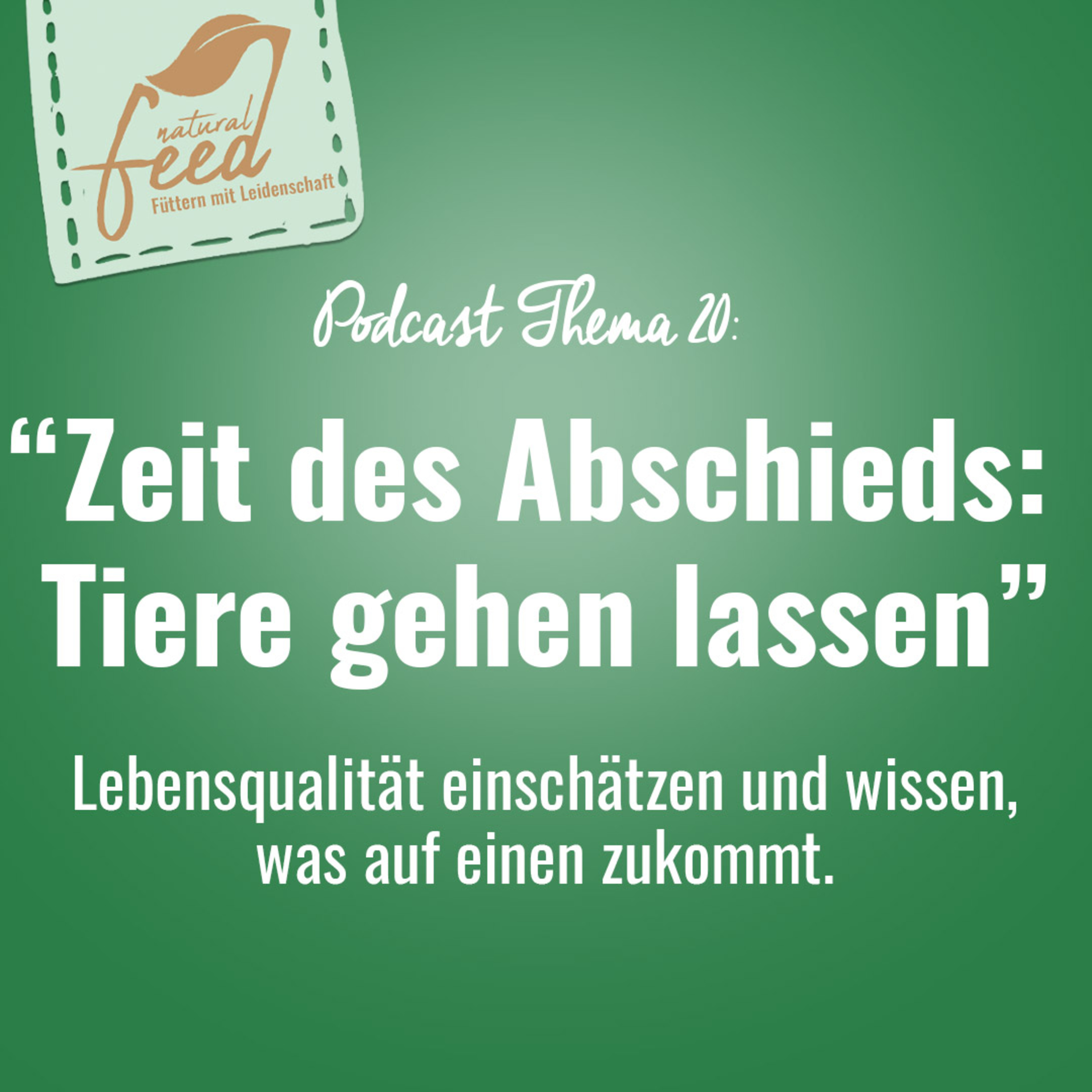Die richtige Fütterung rund um Pferd und Hund