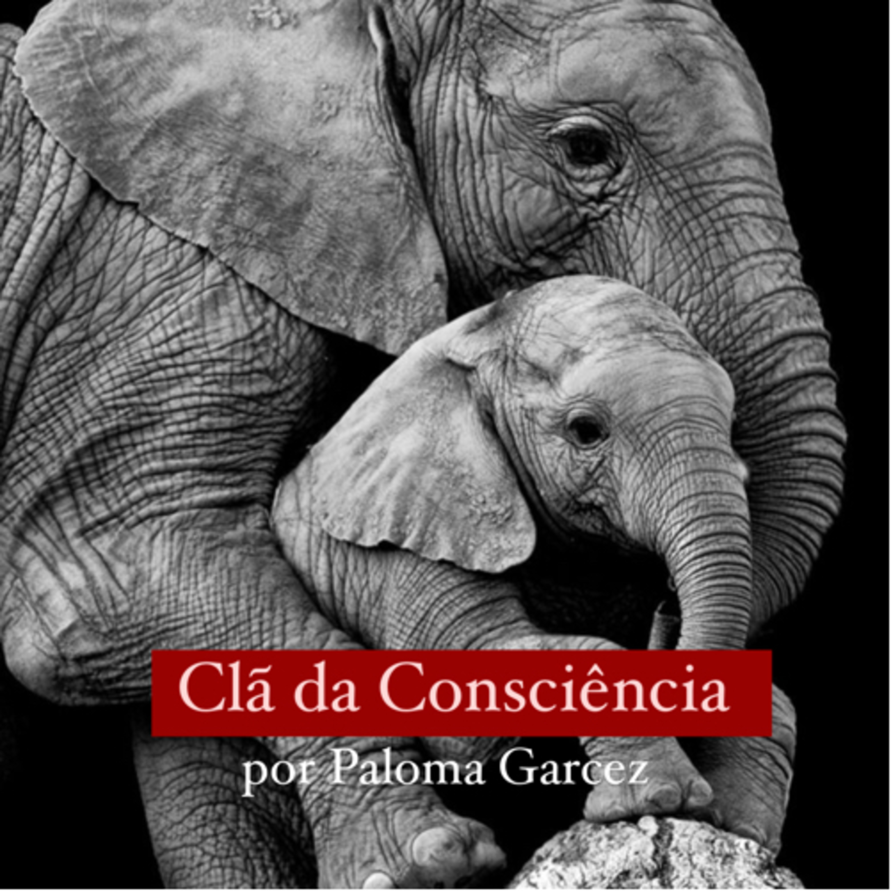 Papo do Clã por Paloma Garcez