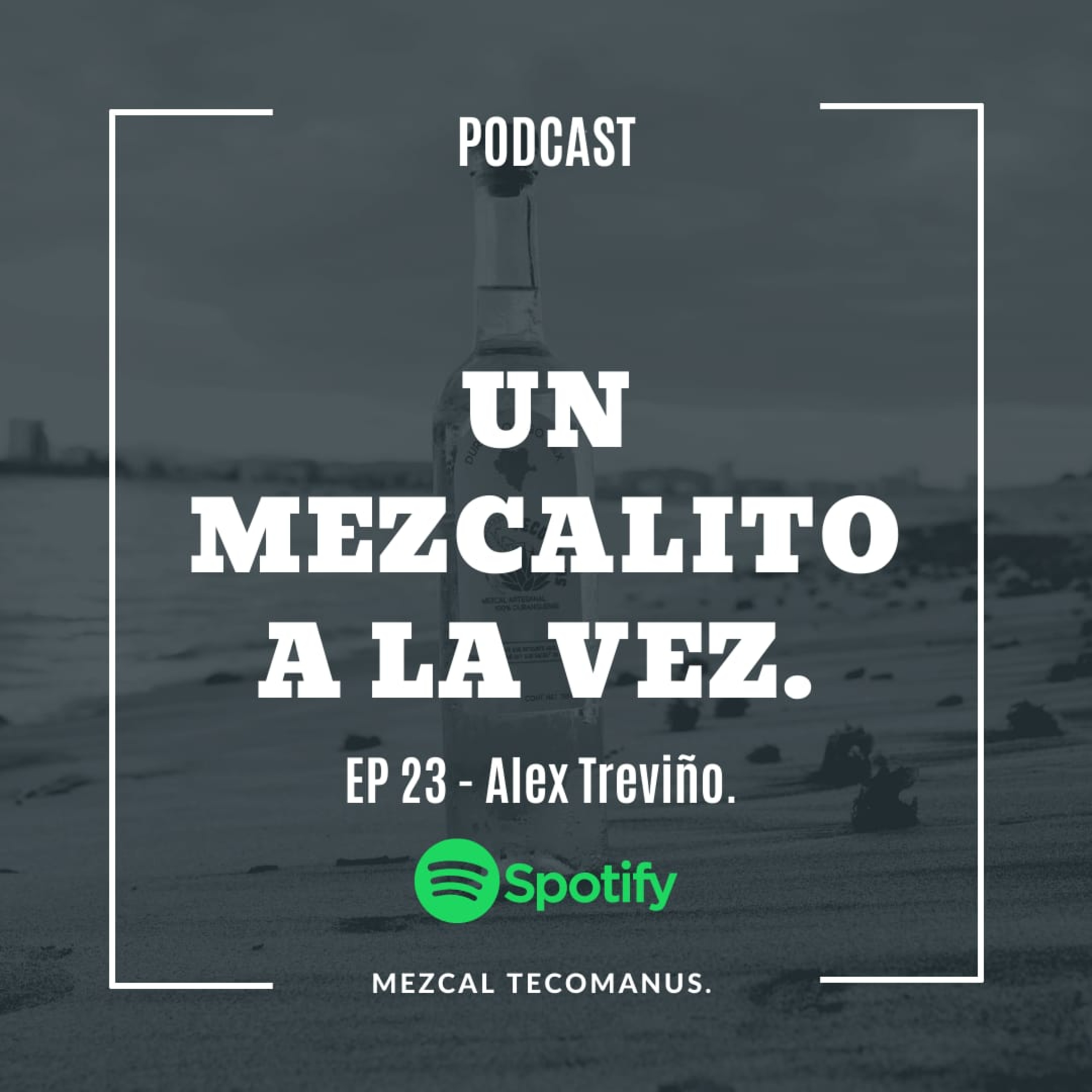 UN MEZCALITO A LA VEZ.