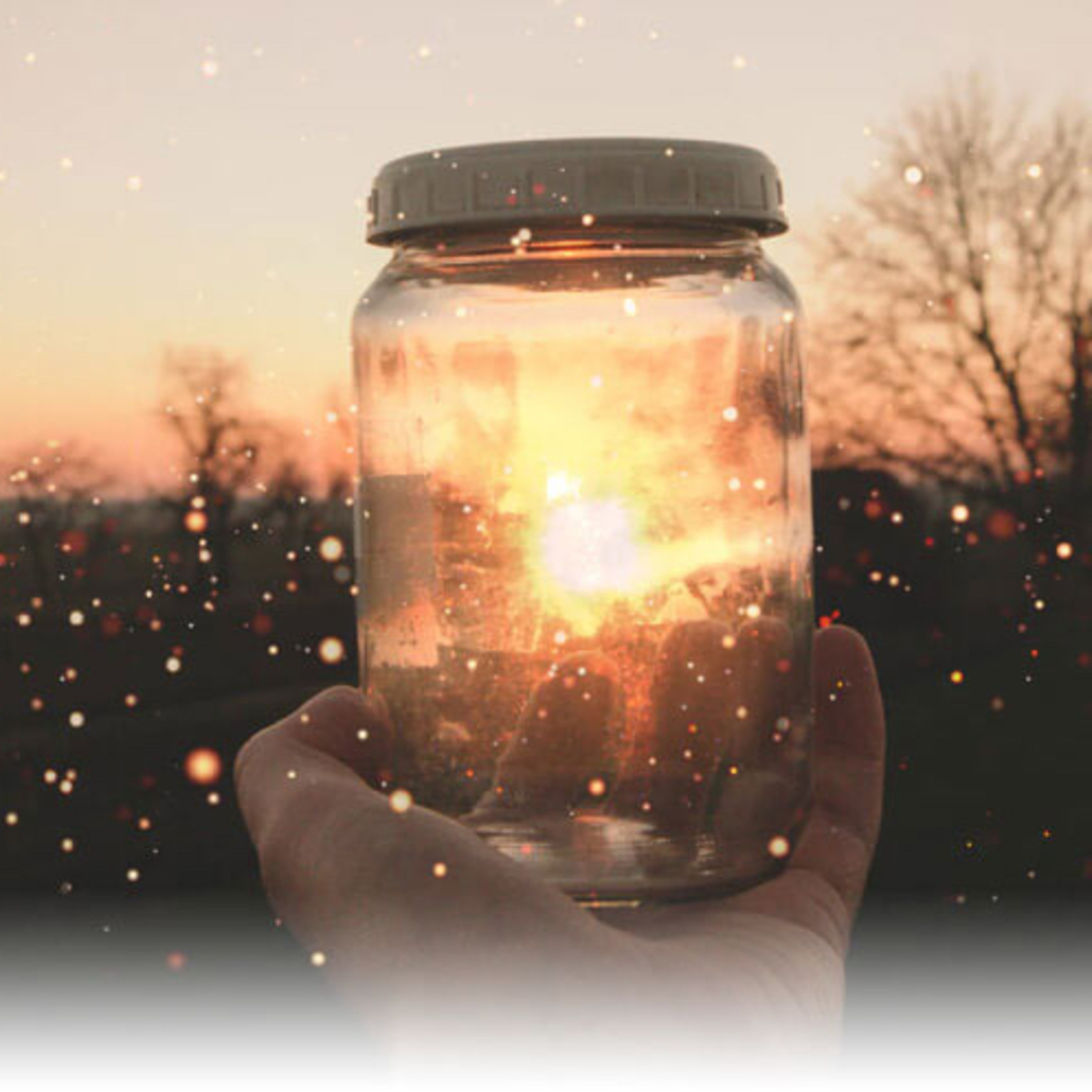 A Divine Transmission of Blessing and Good Fortune to bring your gifts to the world.
