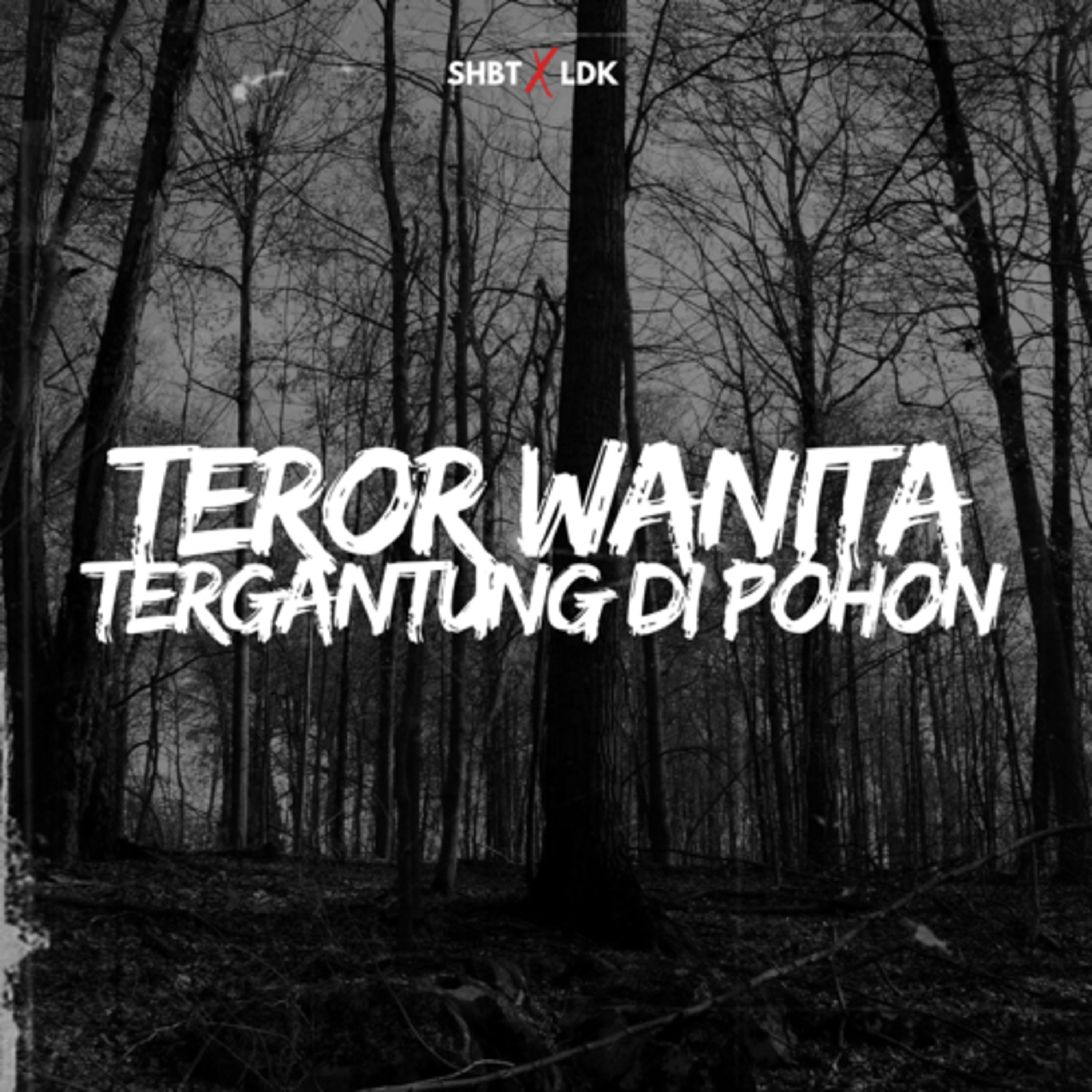 Podcast Horor Lagi Di Kamar