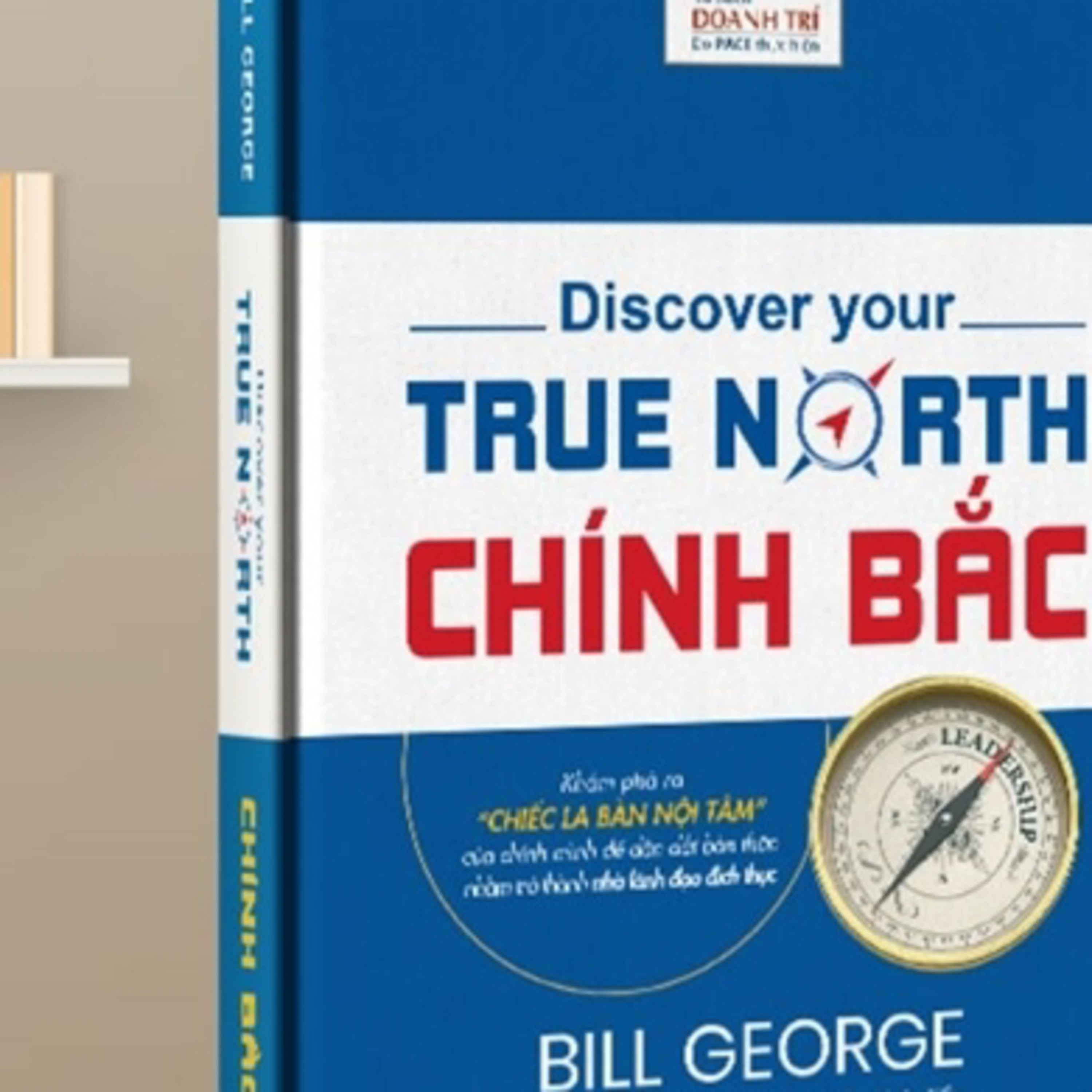 Nhip Cau Dau Tu