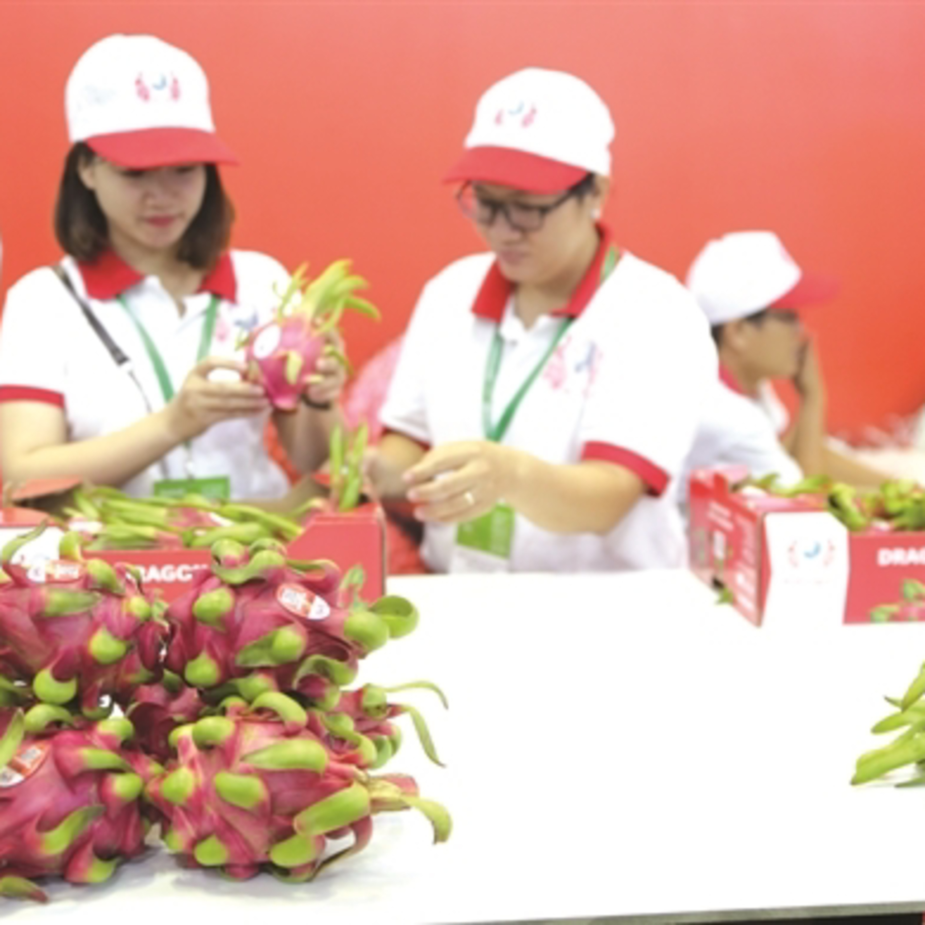 Nhip Cau Dau Tu