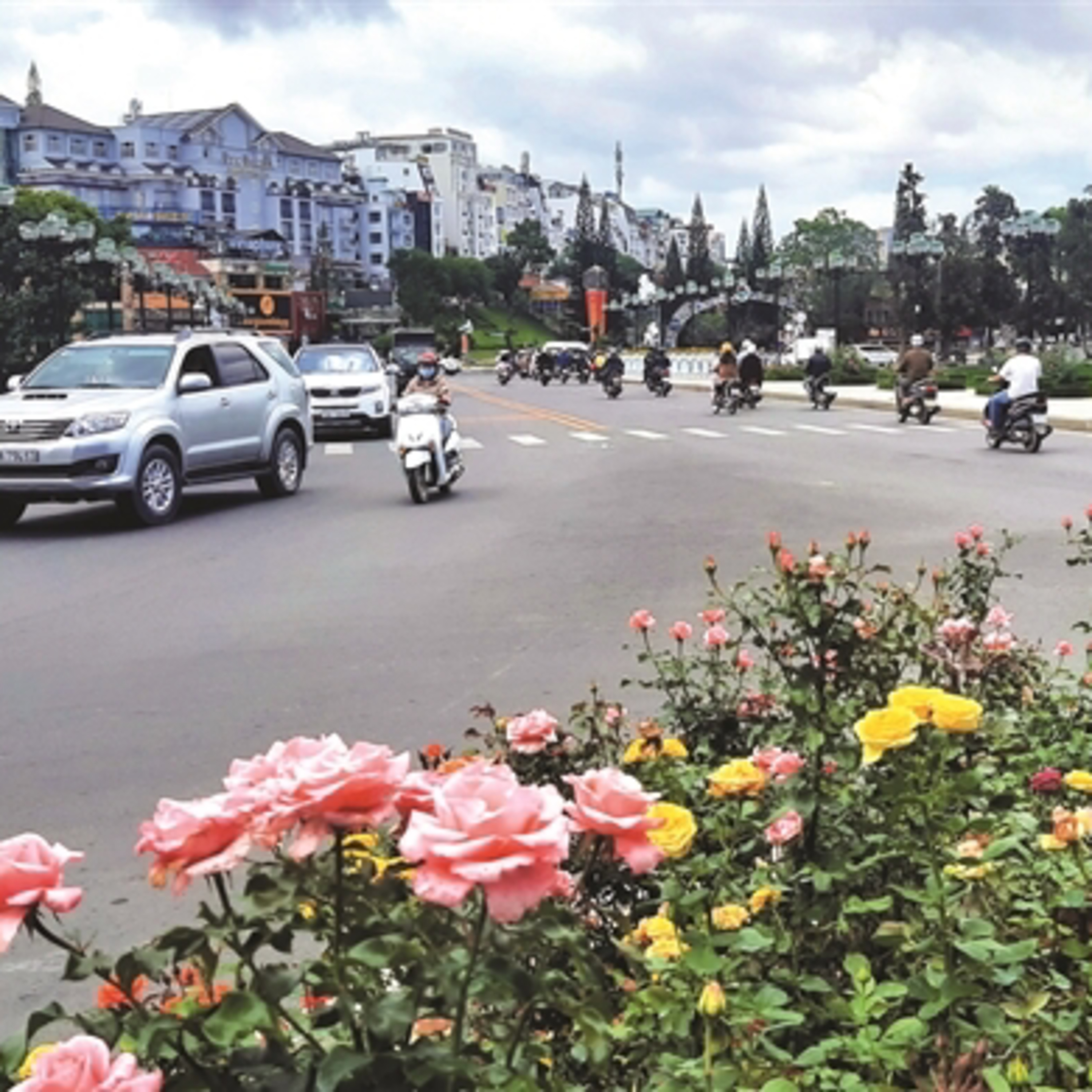 Nhip Cau Dau Tu