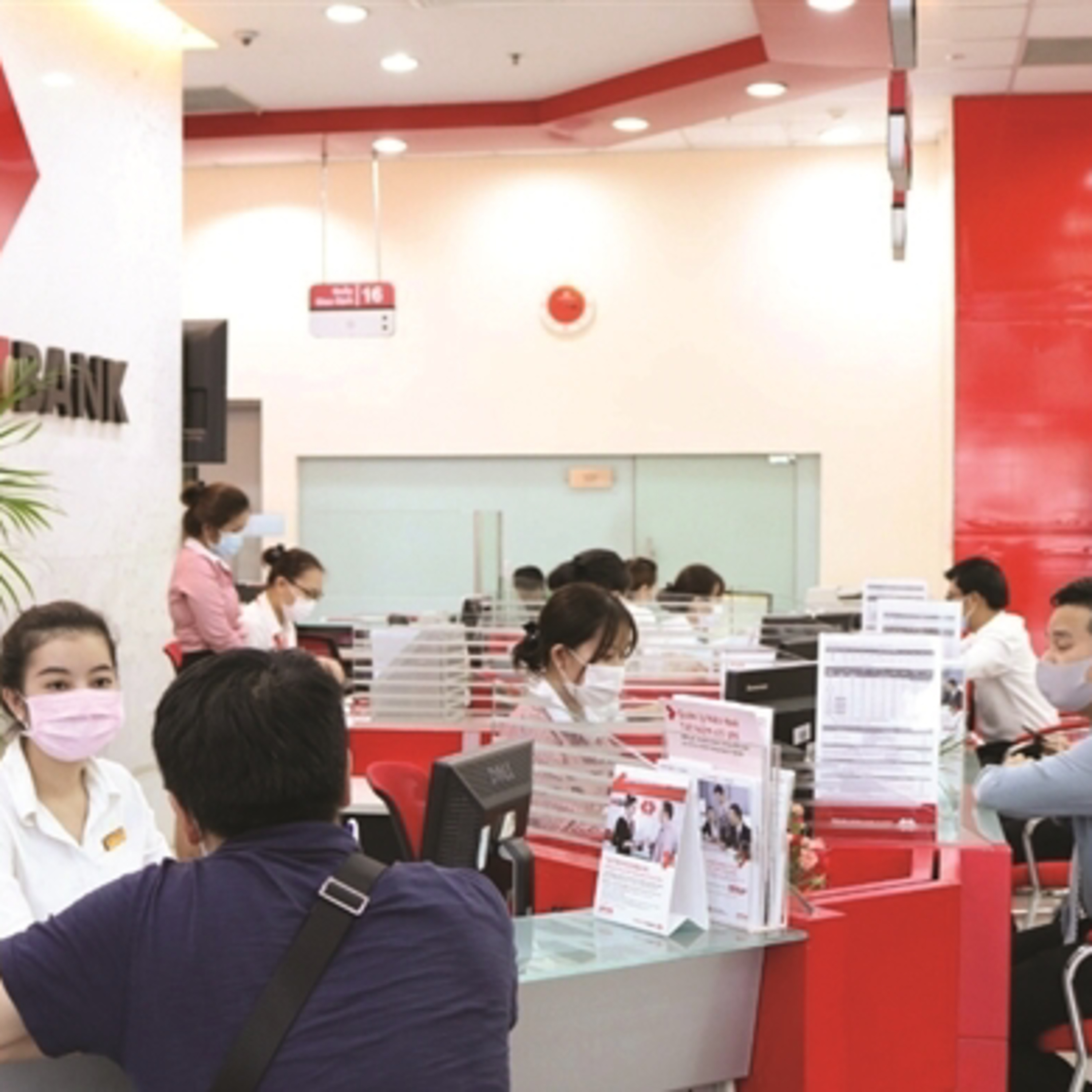 Nhip Cau Dau Tu