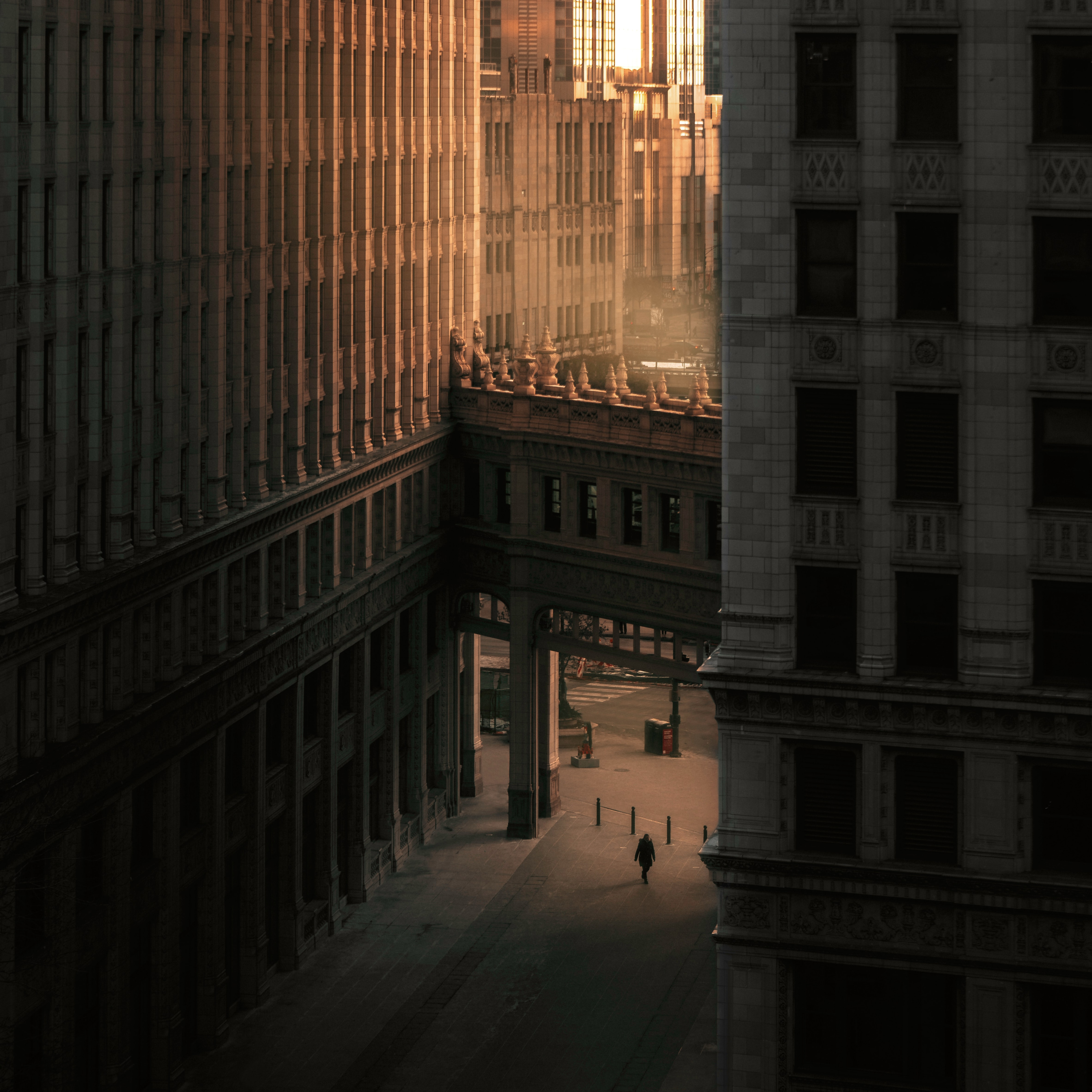 IF WE SURVIVE THIS (PANDEMIC POETRY) episode artwork