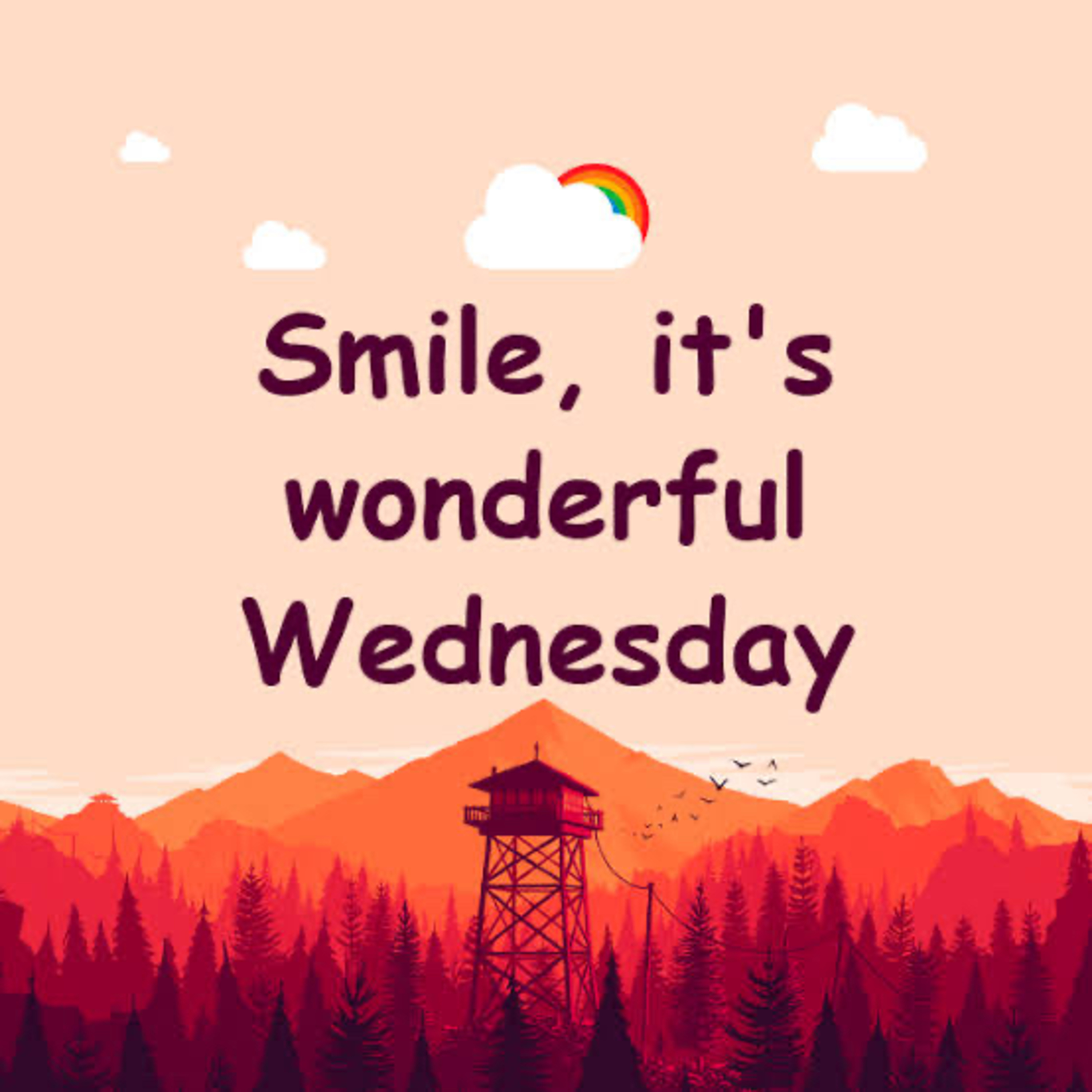 Wonderful Wednesday