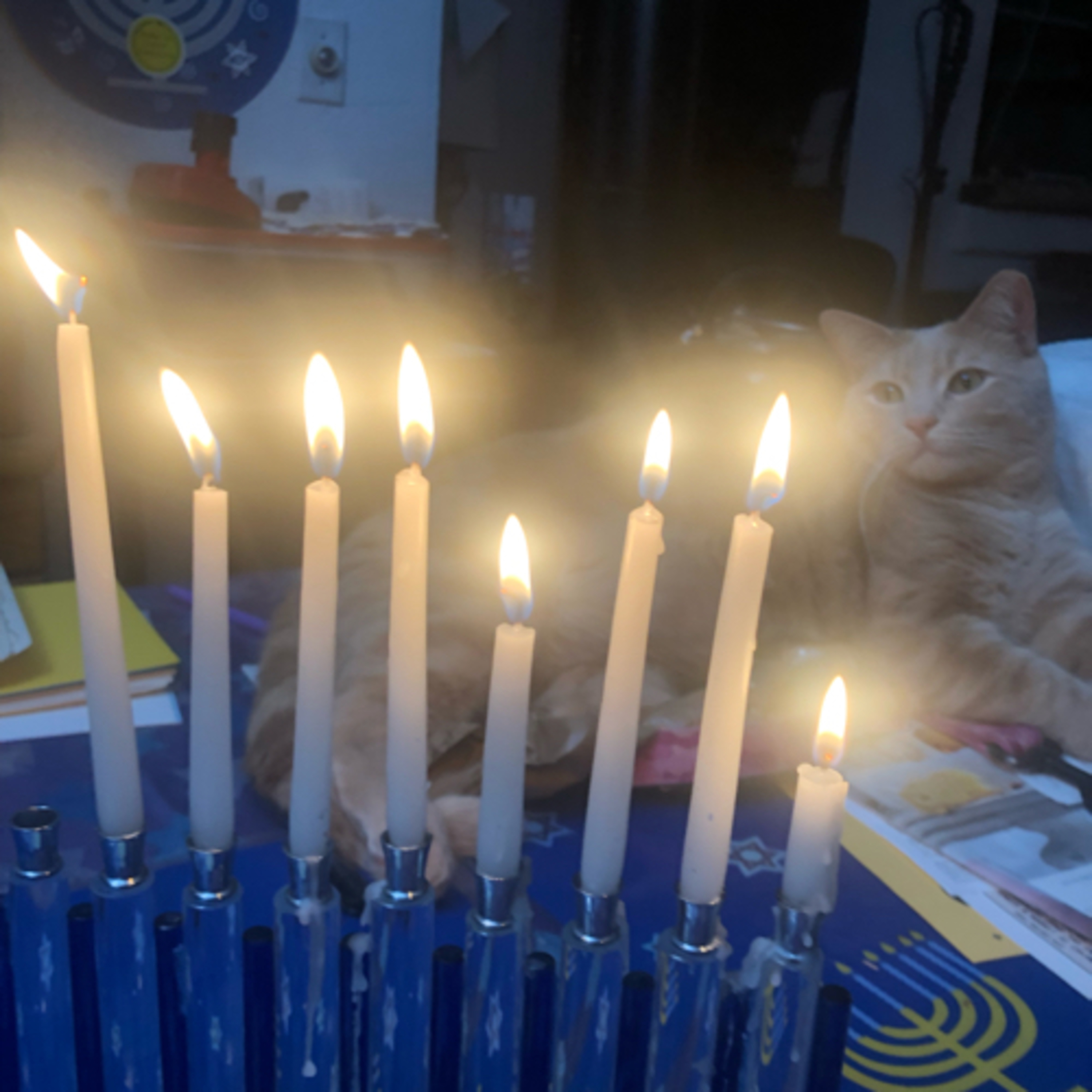 7th night of Hanukkah  episode artwork