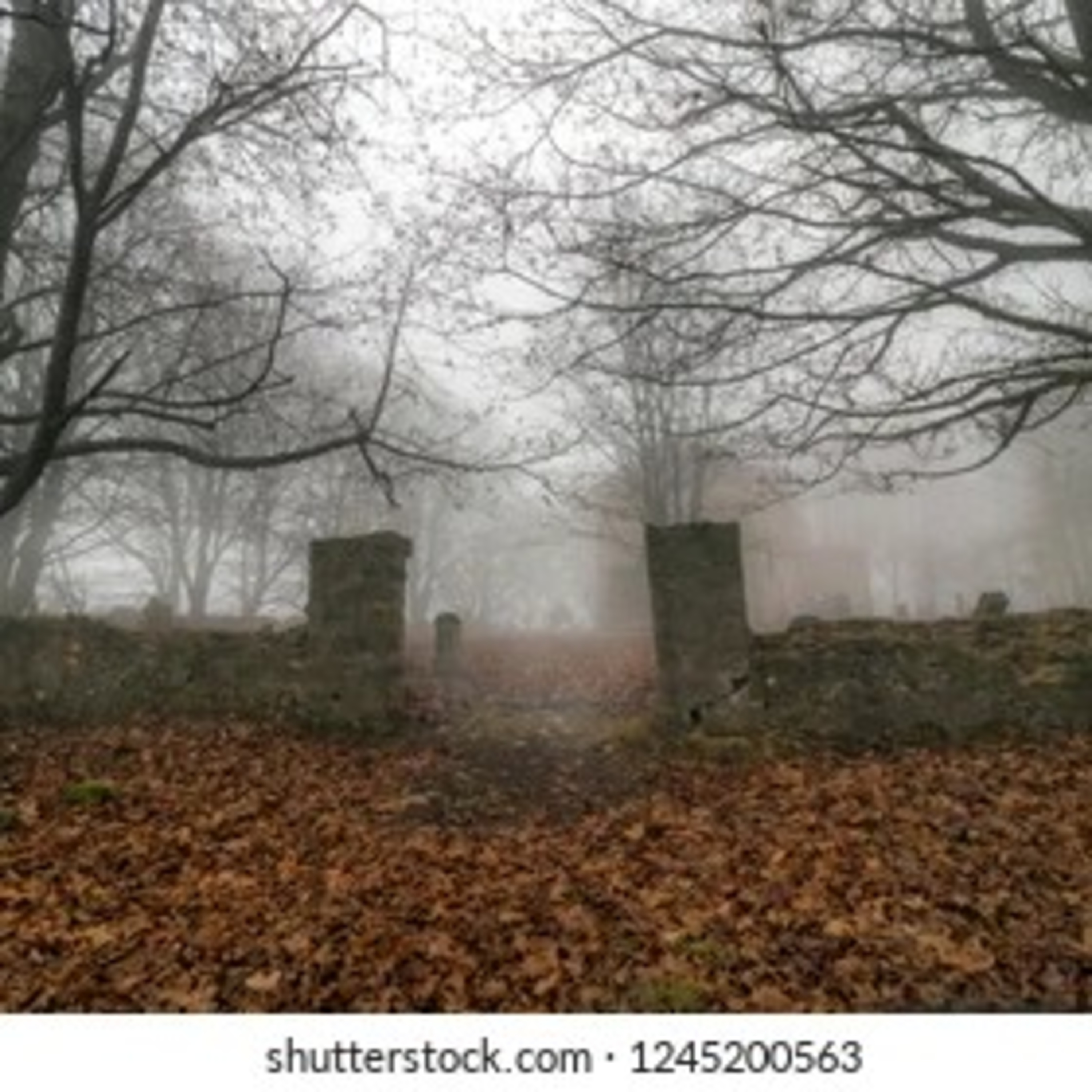 Graveyard horror story part 1 || by horror stories in urdu
