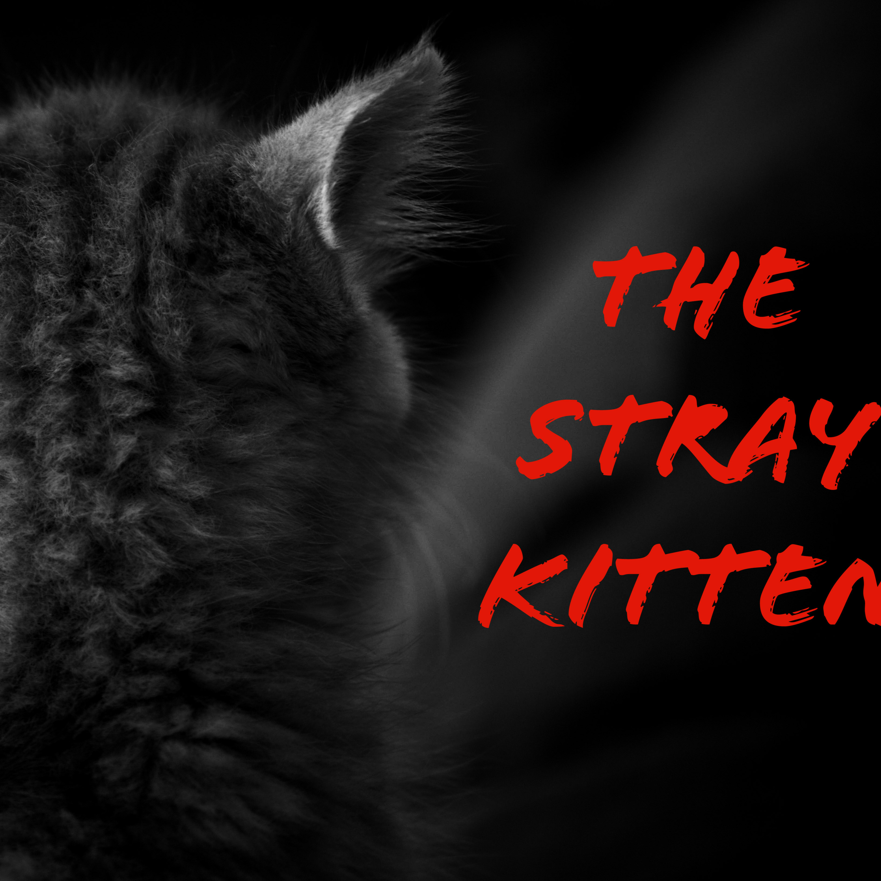 The Stray Kitten (TRUE Ghost Story)